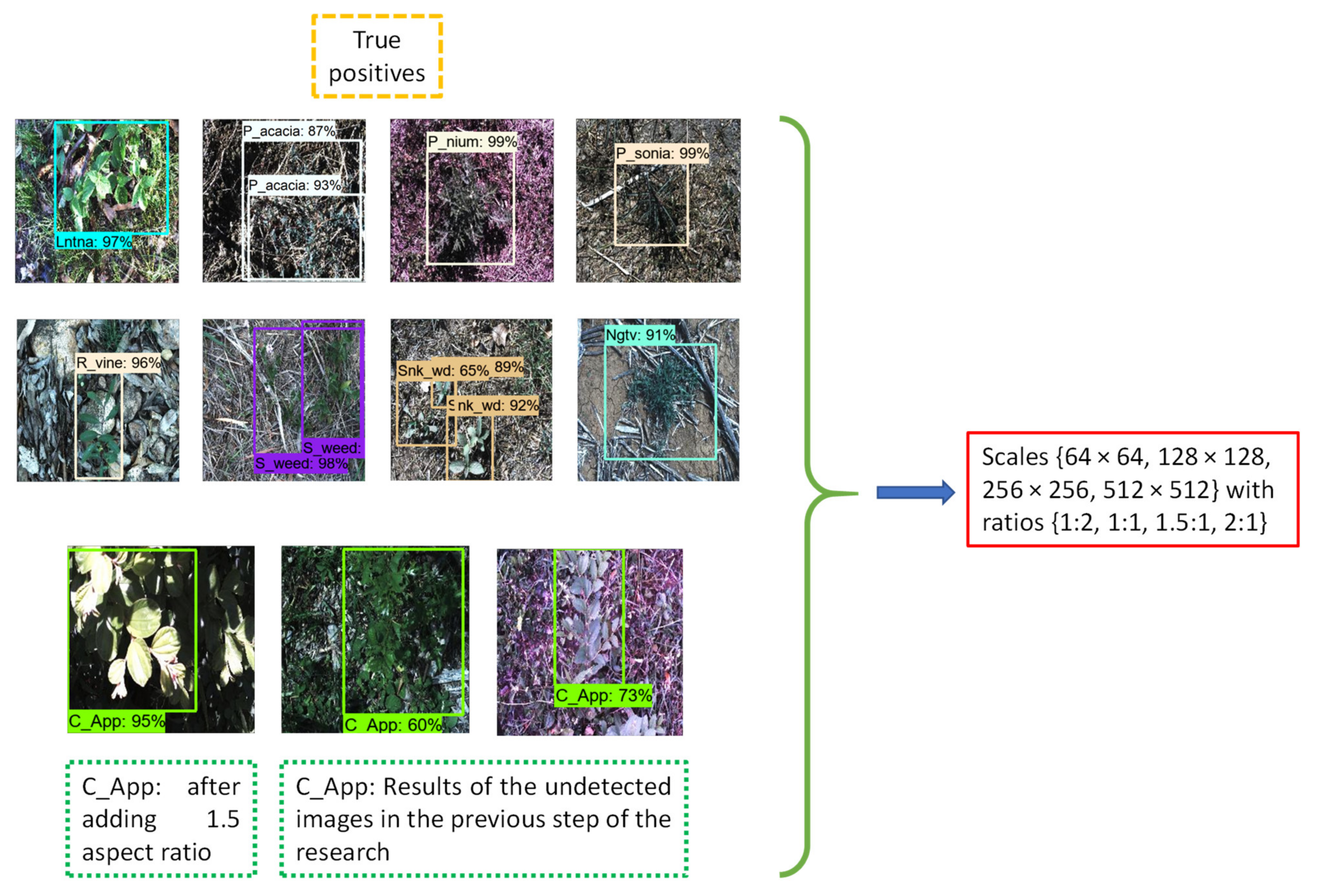 Agronomy 12 01580 g011 550