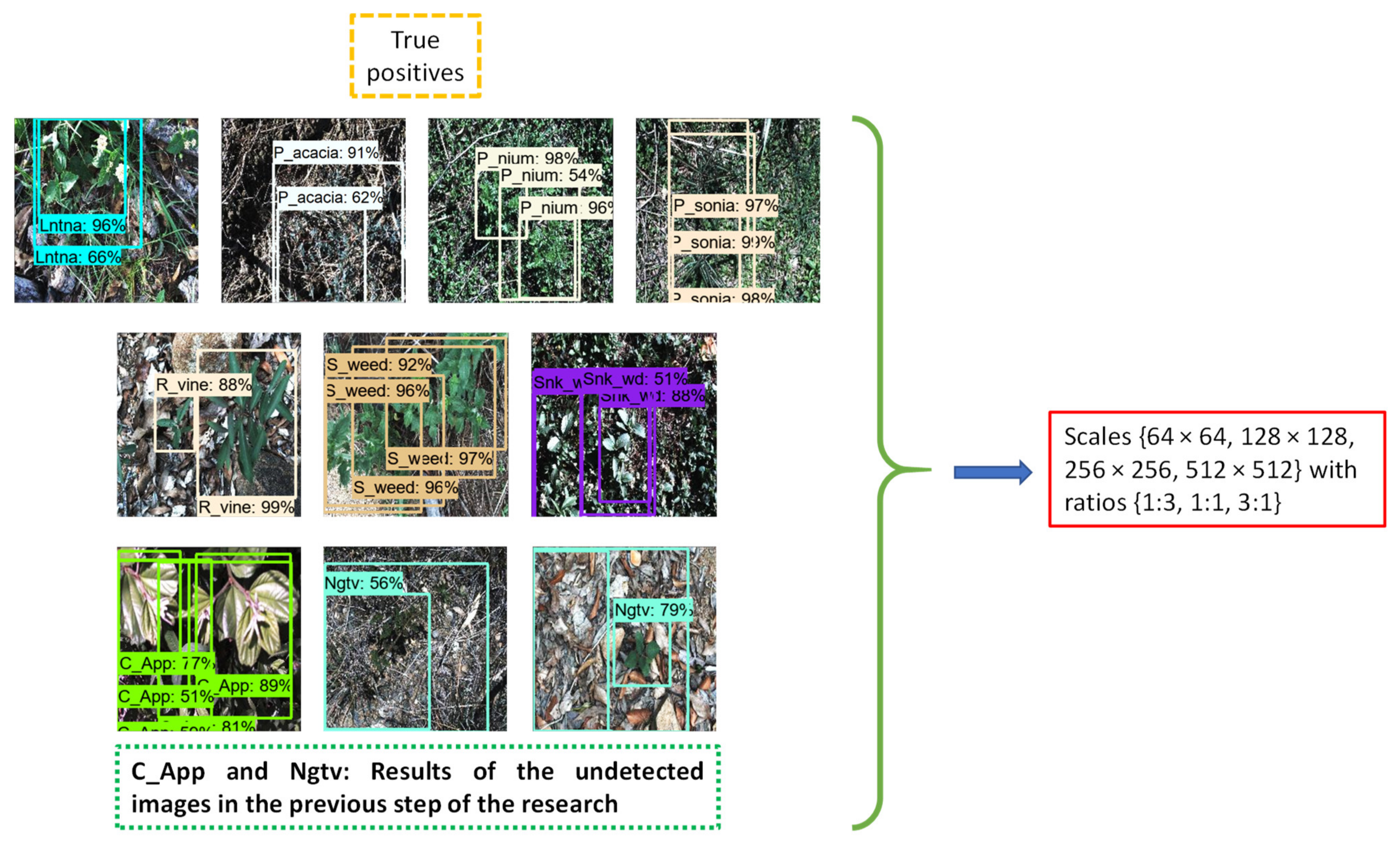 Agronomy 12 01580 g015 550