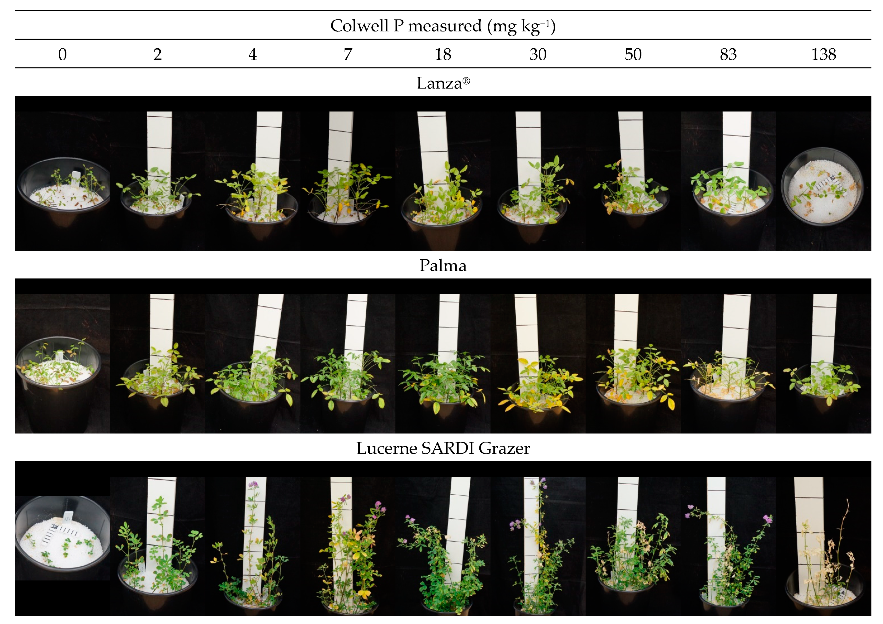 Agronomy 12 01581 g003 Agronomy 12 01581 g003