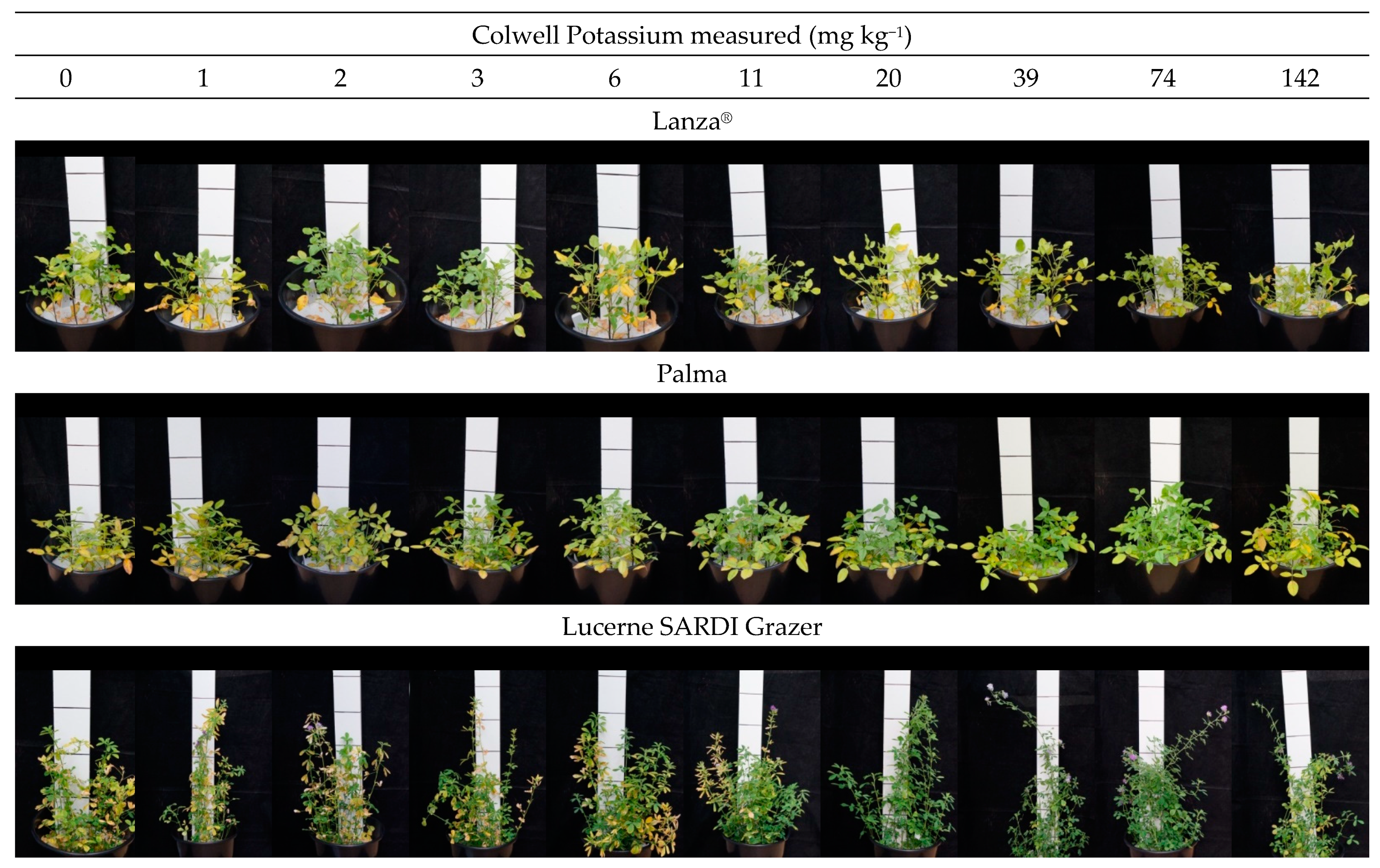 Agronomy 12 01581 g004 Agronomy 12 01581 g004