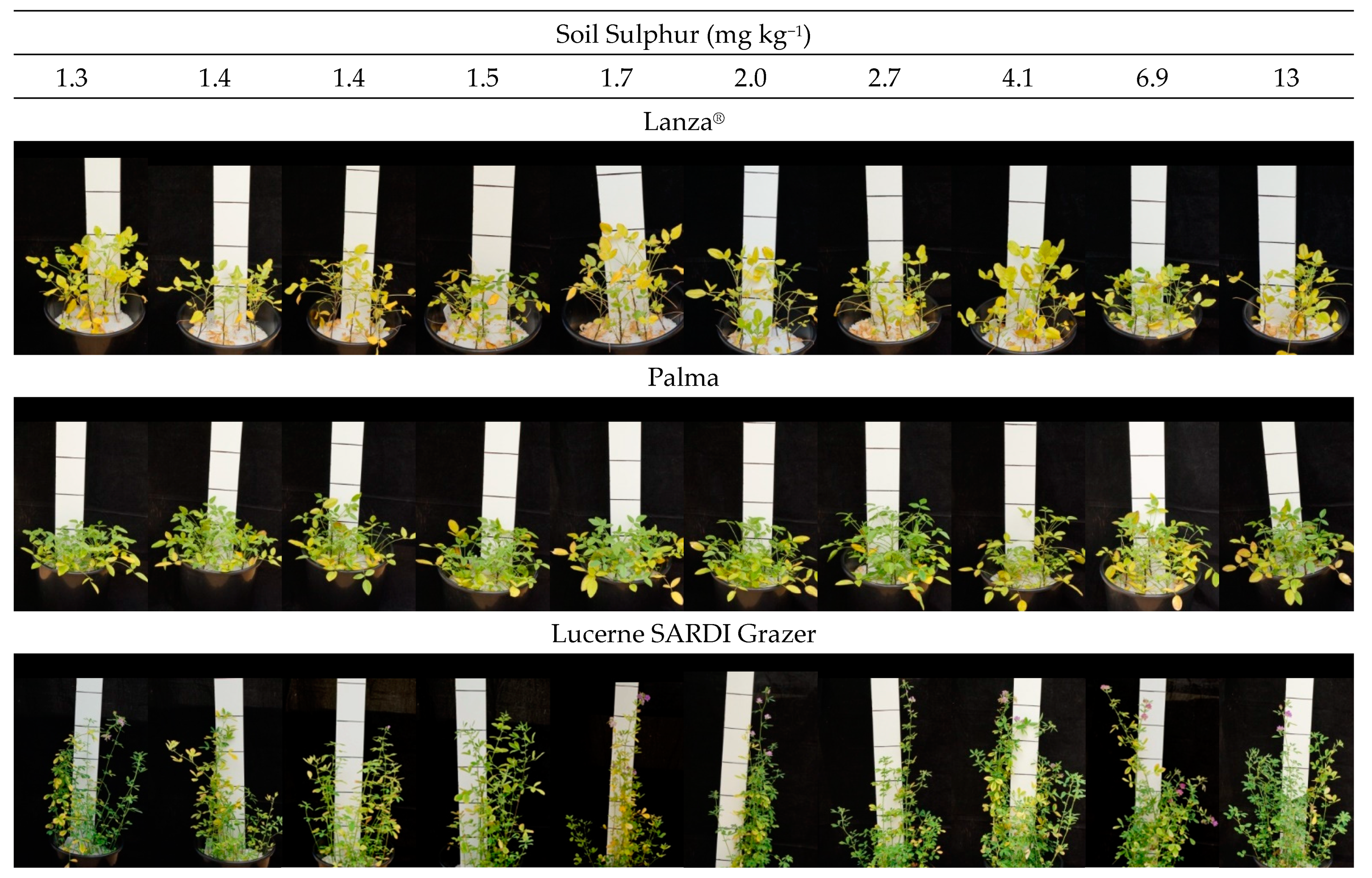 Agronomy 12 01581 g005 Agronomy 12 01581 g005