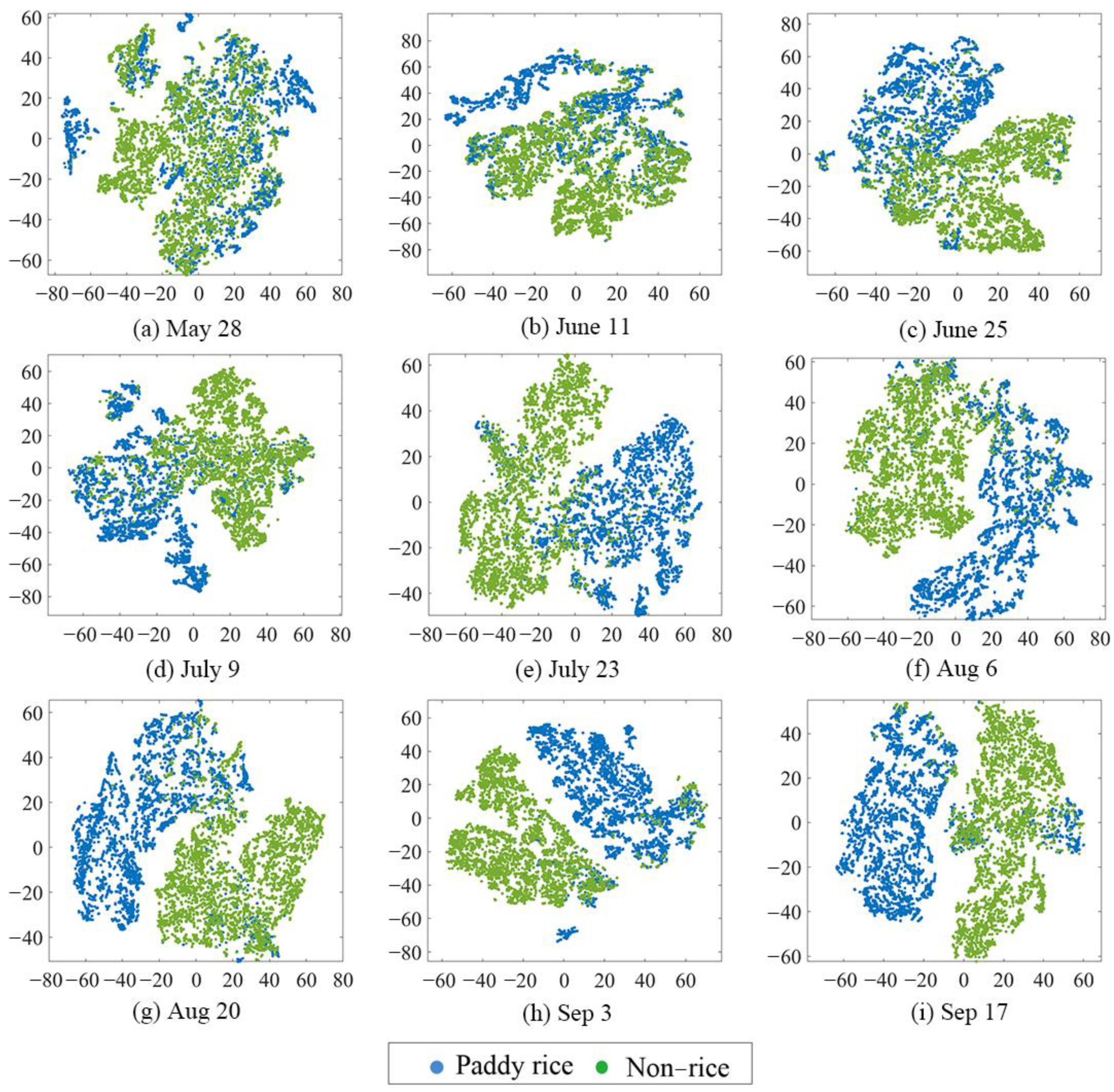 Agronomy 12 01583 g013