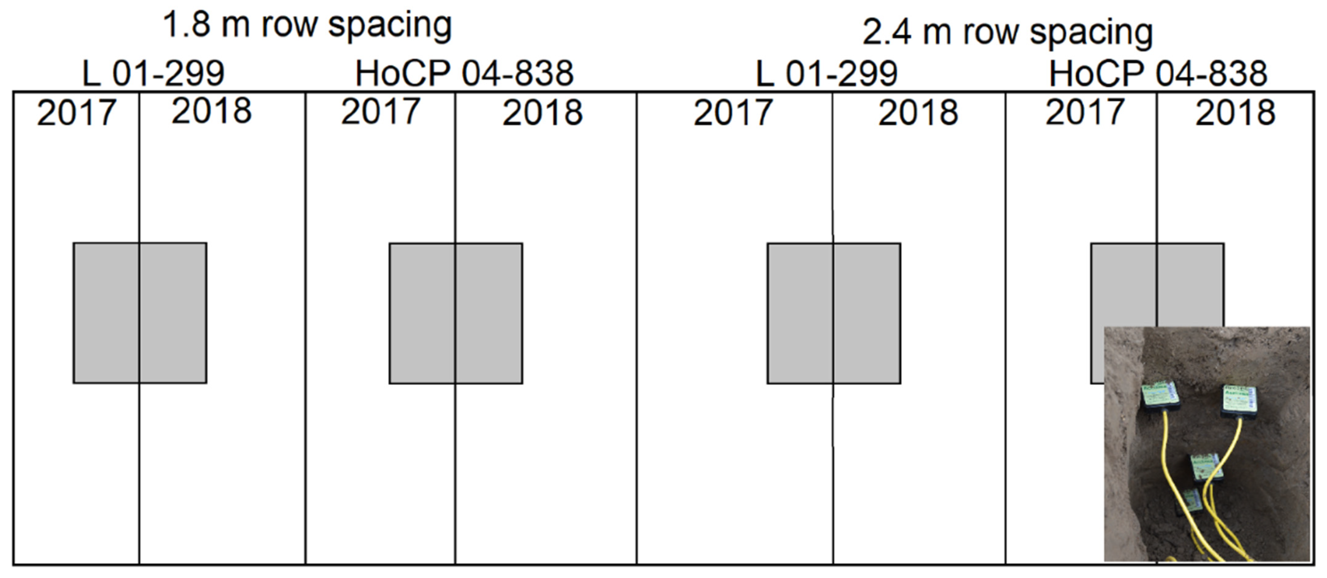 Agronomy 12 01586 g001 Agronomy 12 01586 g001