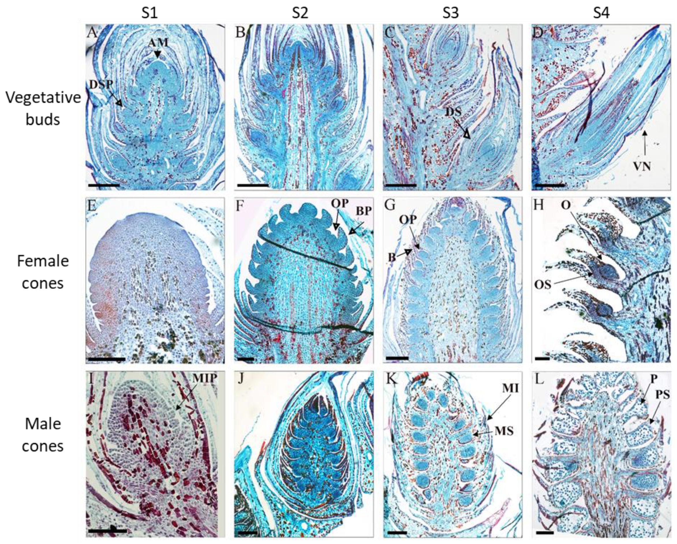 Agronomy 12 01588 g002 Agronomy 12 01588 g002