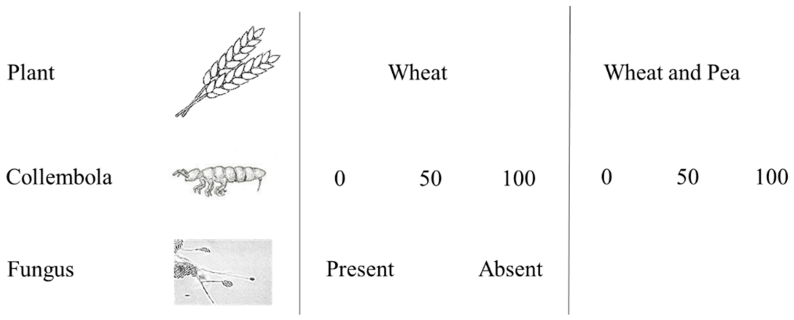 Agronomy 12 01599 g001 550