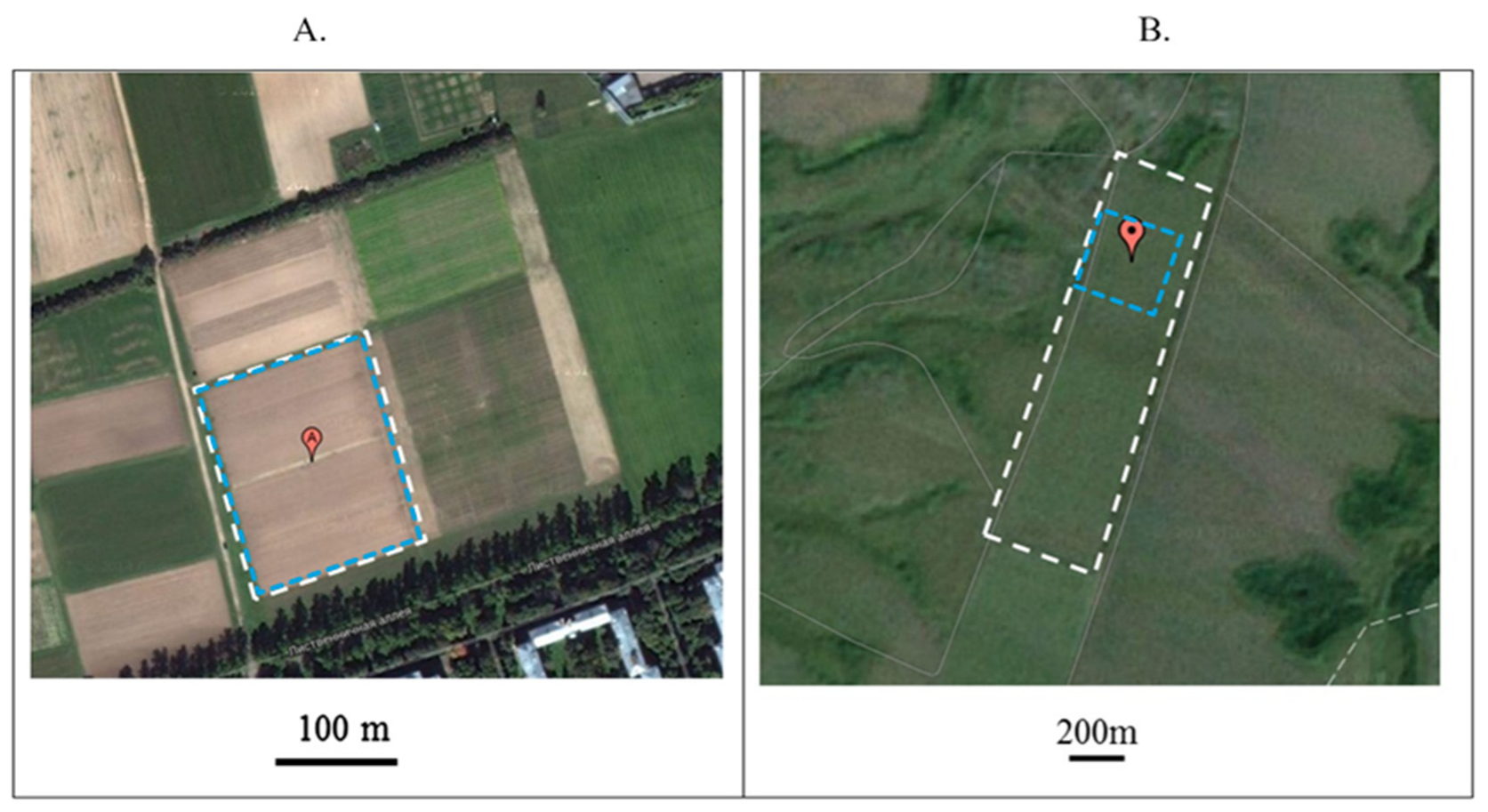 Agronomy 12 01606 g001