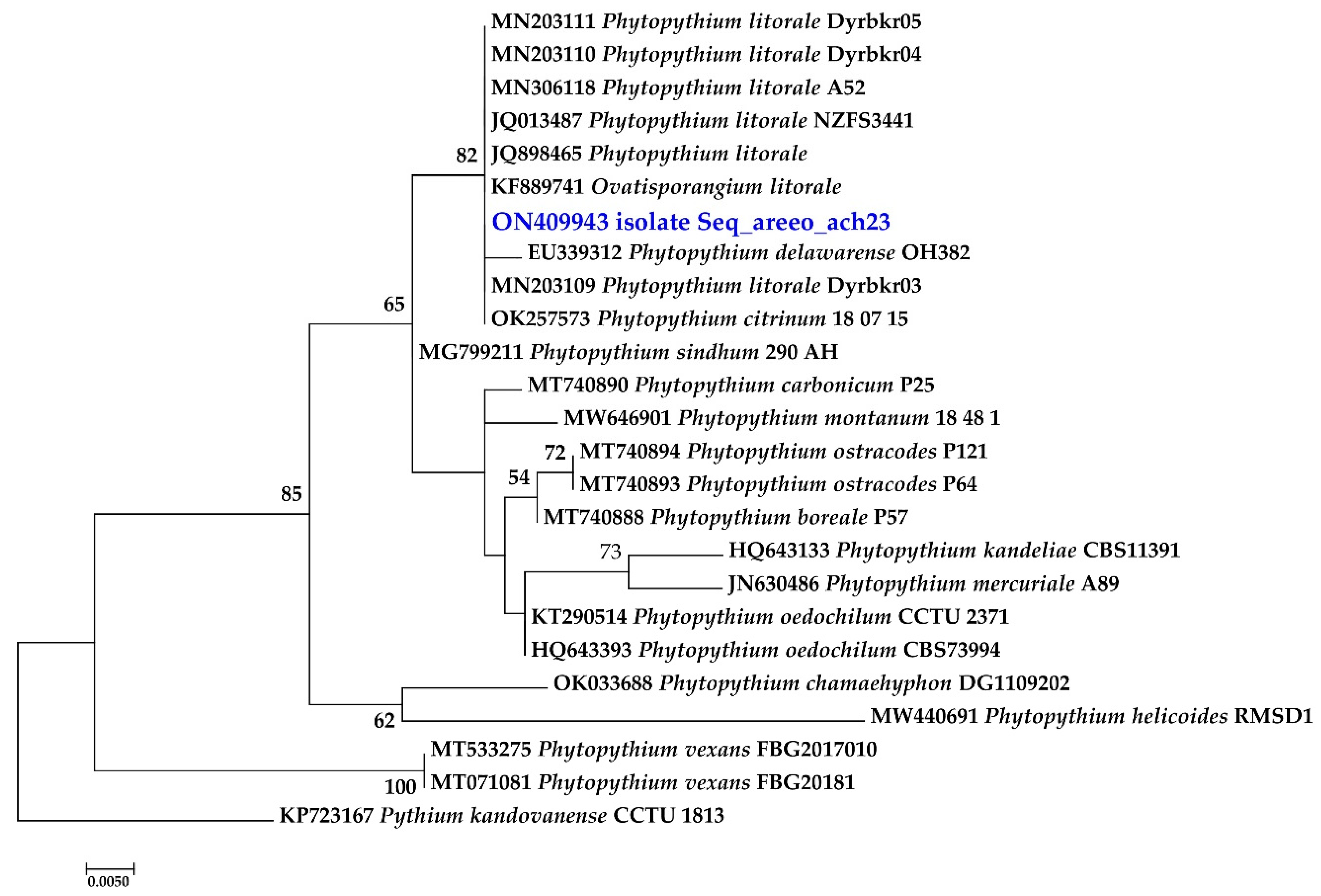 Agronomy 12 01609 g002 Agronomy 12 01609 g002