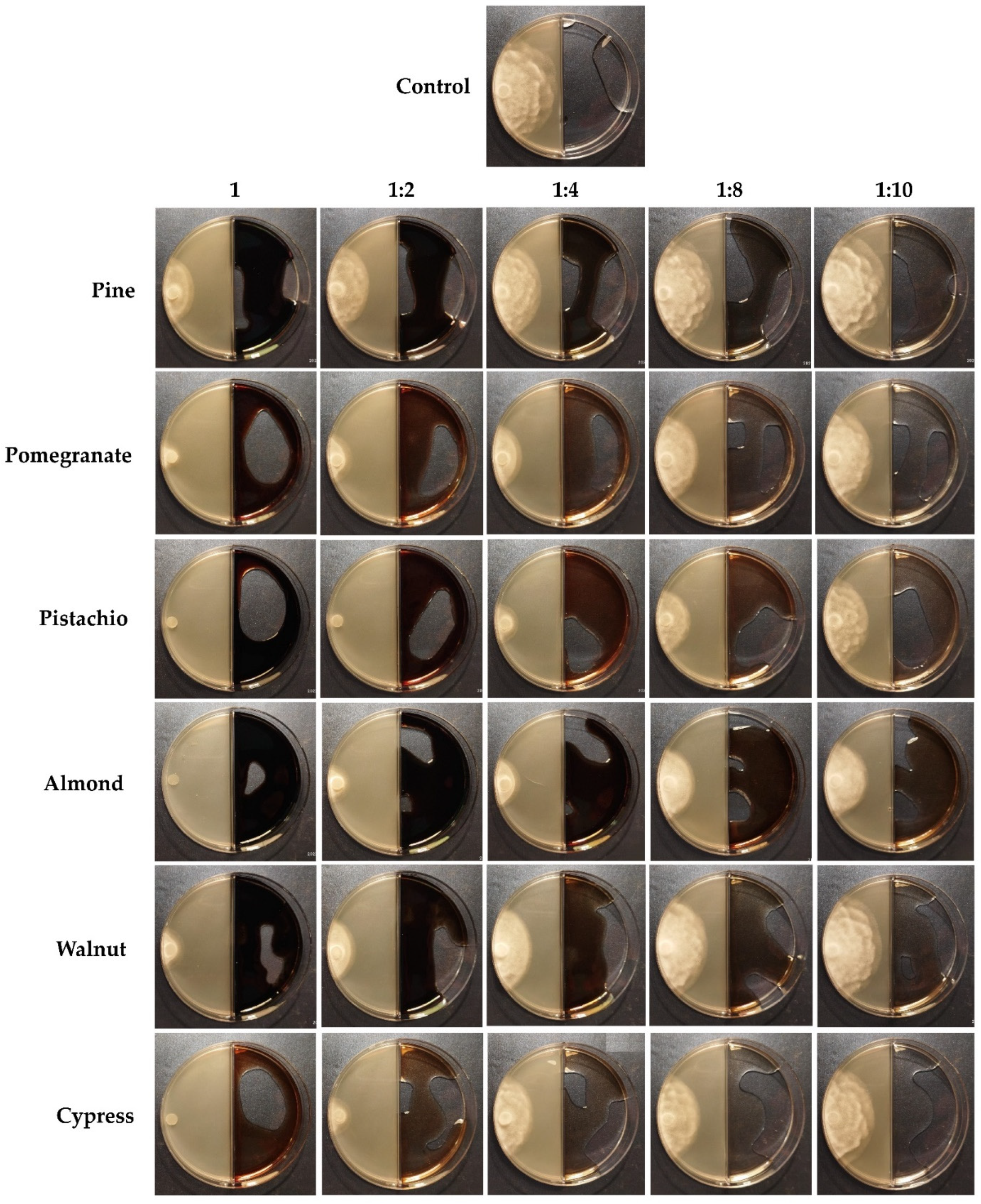 Agronomy 12 01609 g003 Agronomy 12 01609 g003