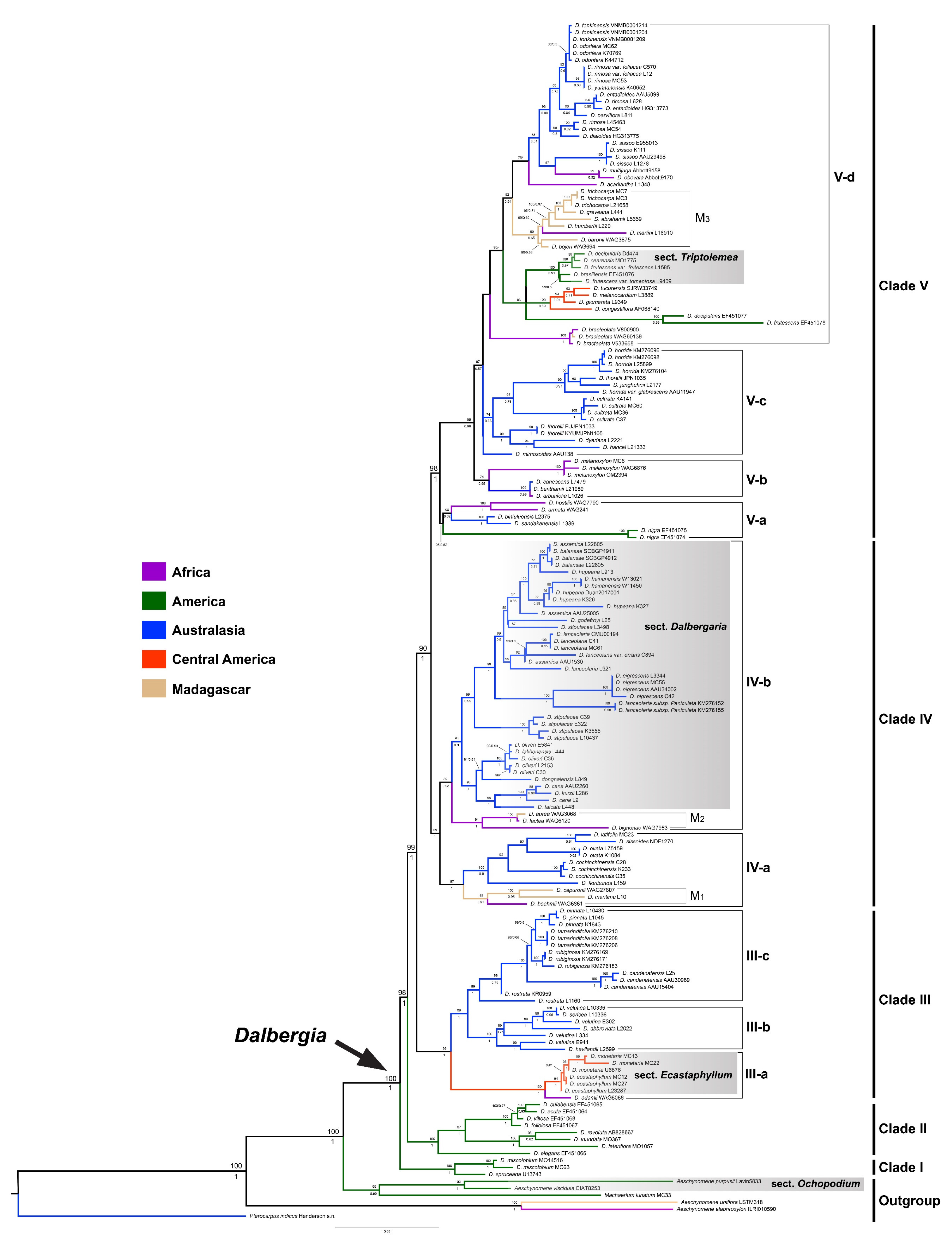 Majority-rule consensus tree reconstructed through BI based on the