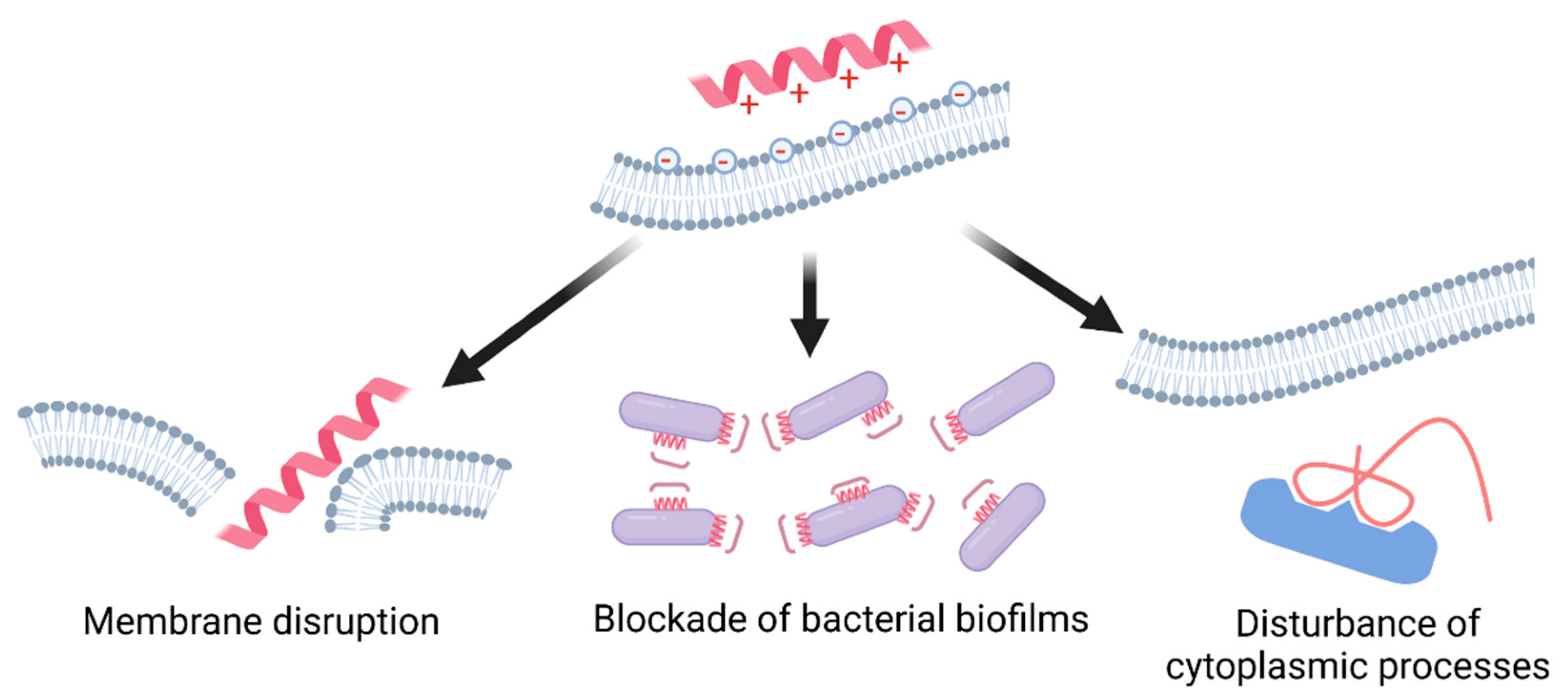 Agronomy 12 01614 g001