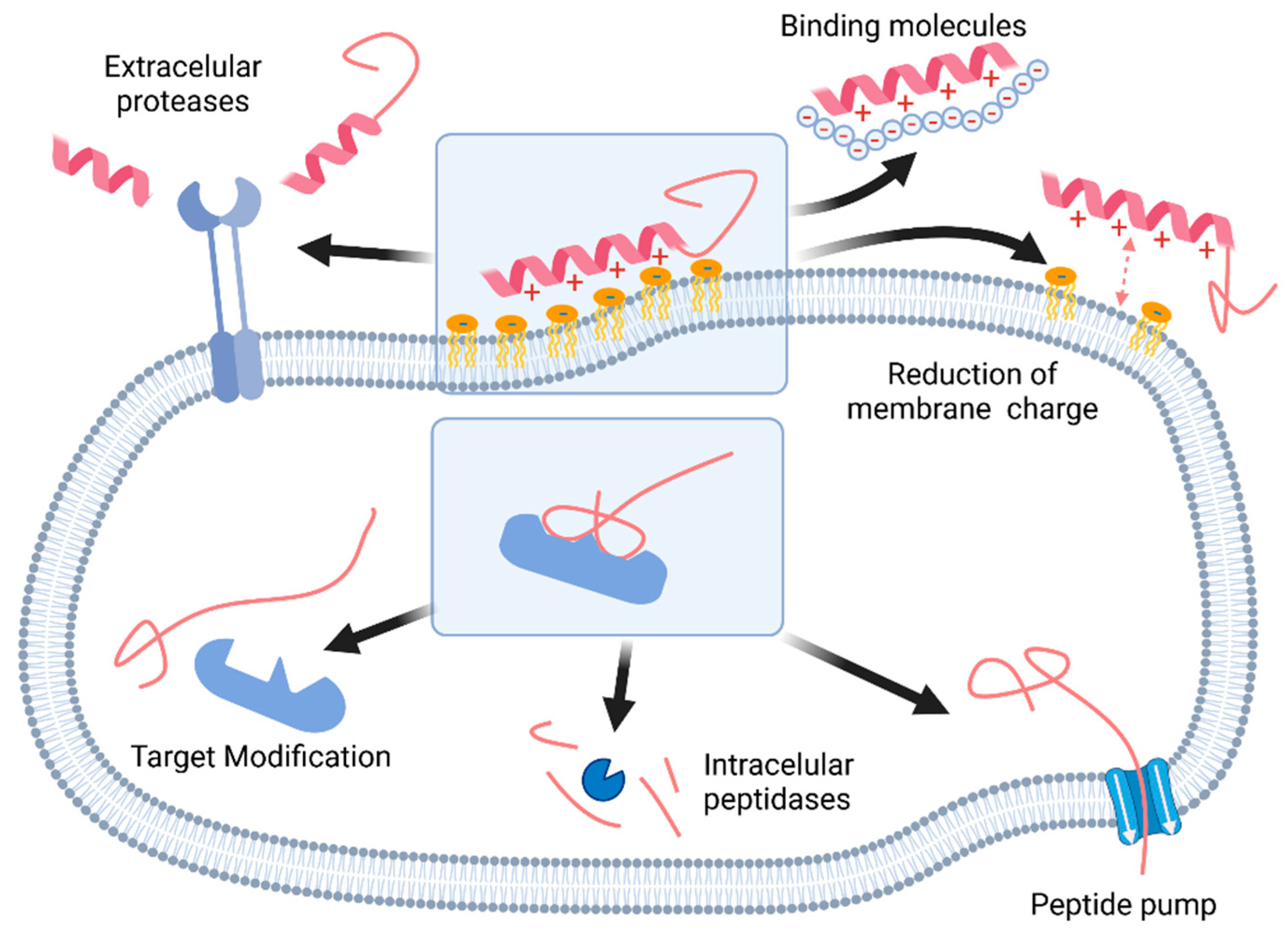 Agronomy 12 01614 g002