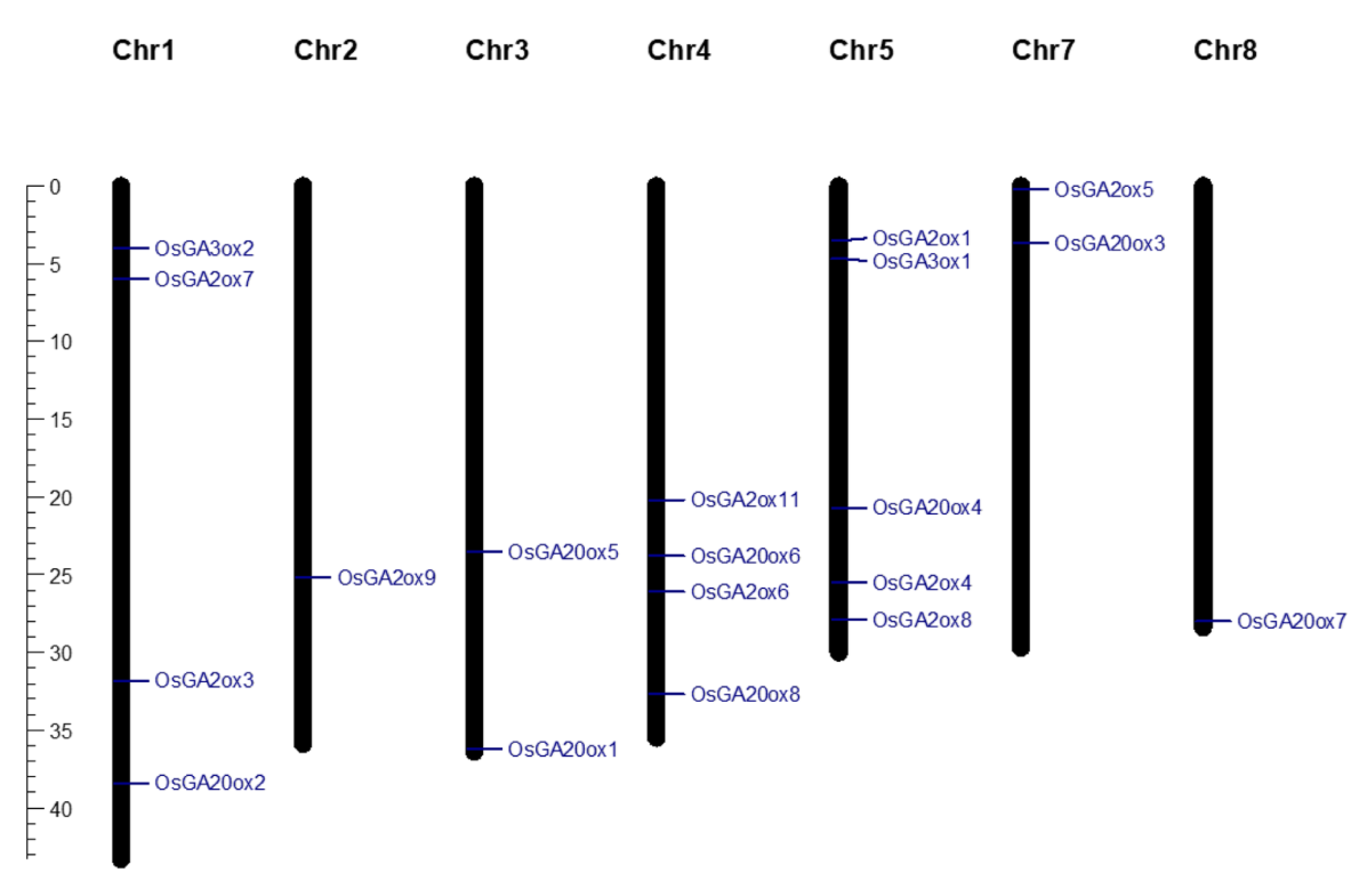 Agronomy 12 01627 g001