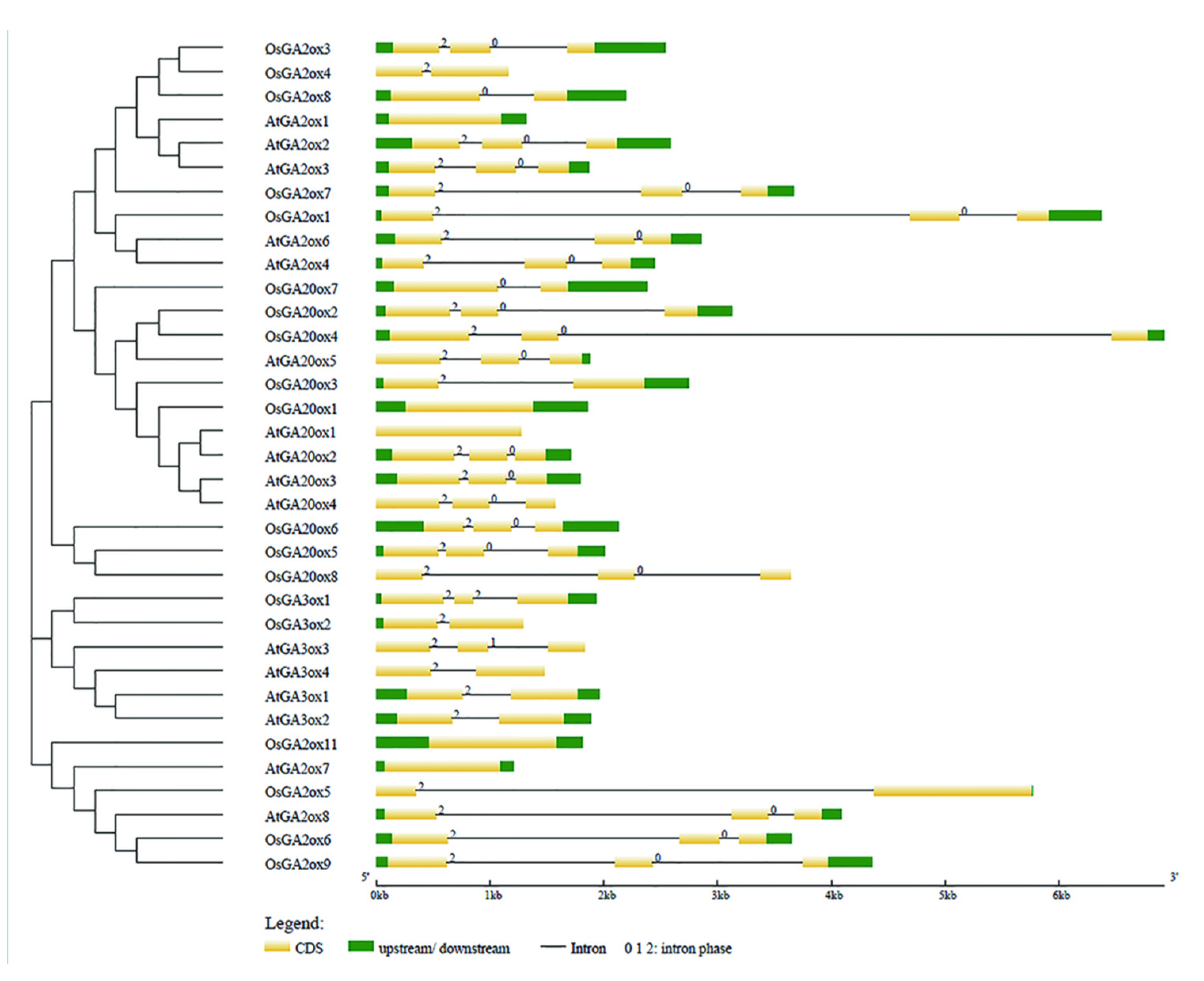 Agronomy 12 01627 g003