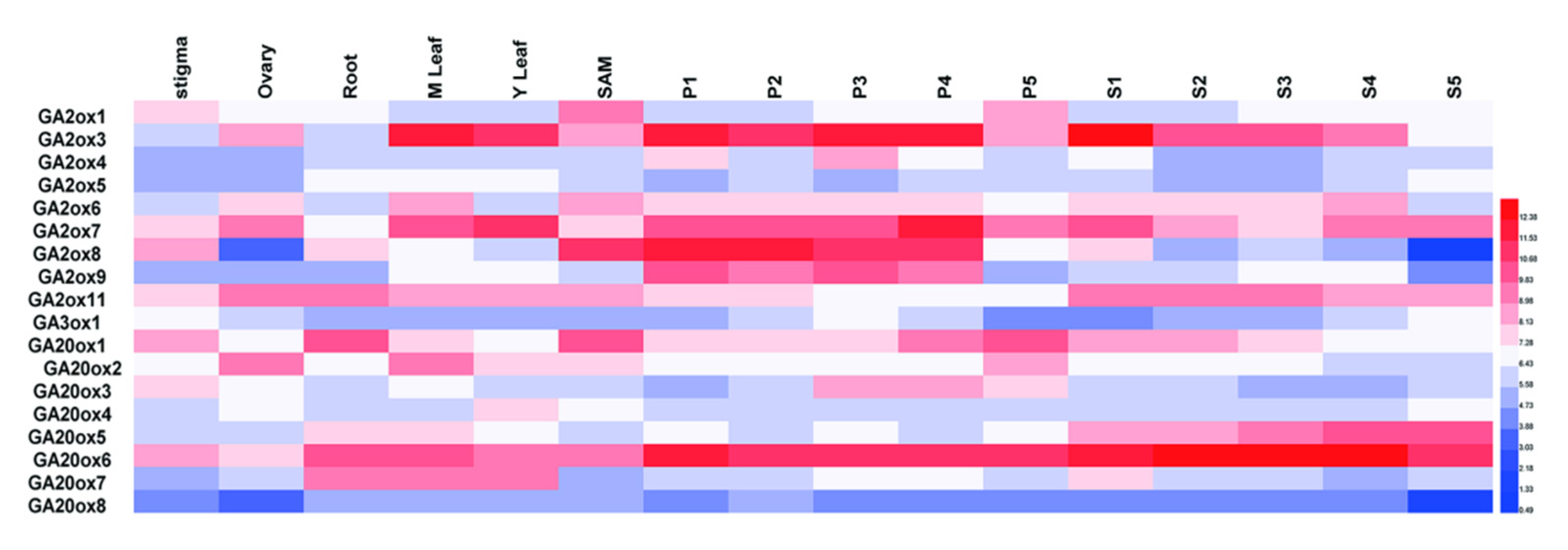 Agronomy 12 01627 g005