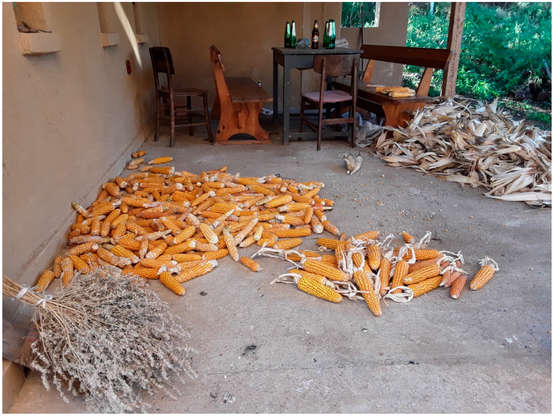 Agronomy 12 01631 g006