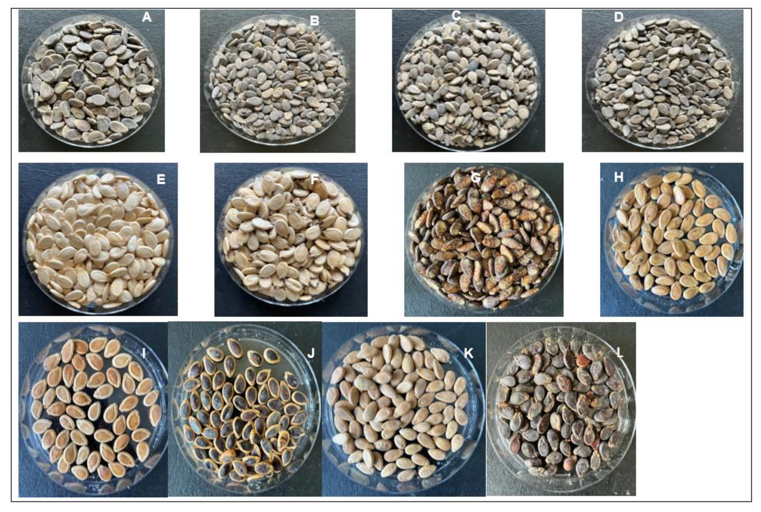 Agronomy 12 01633 g002