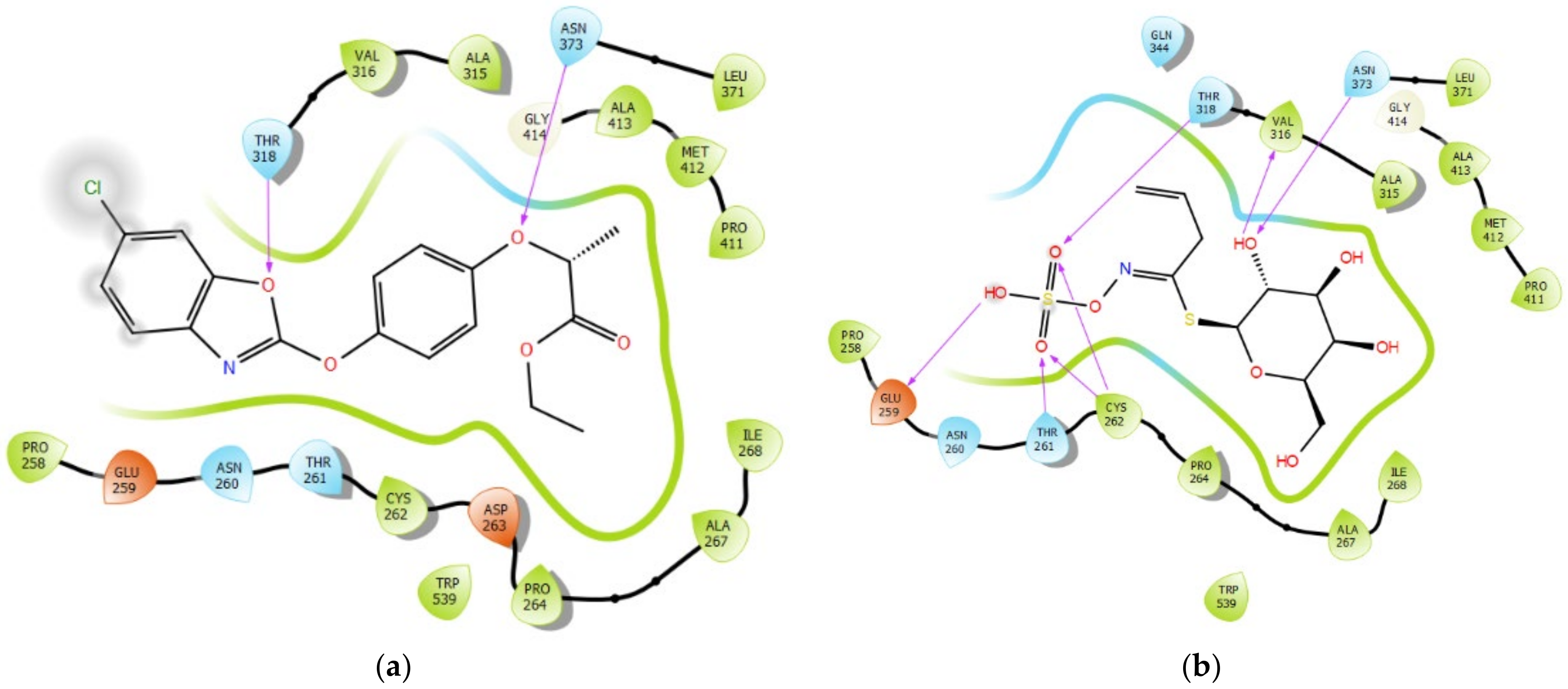 Agronomy 12 01635 g003 Agronomy 12 01635 g003