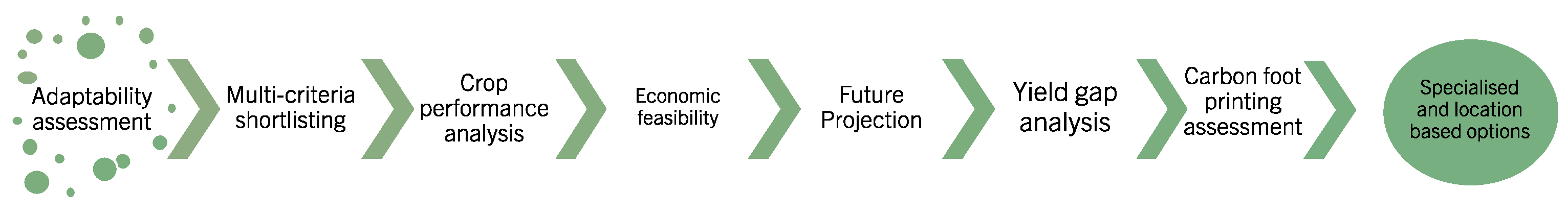 Agronomy 12 01636 g005 550