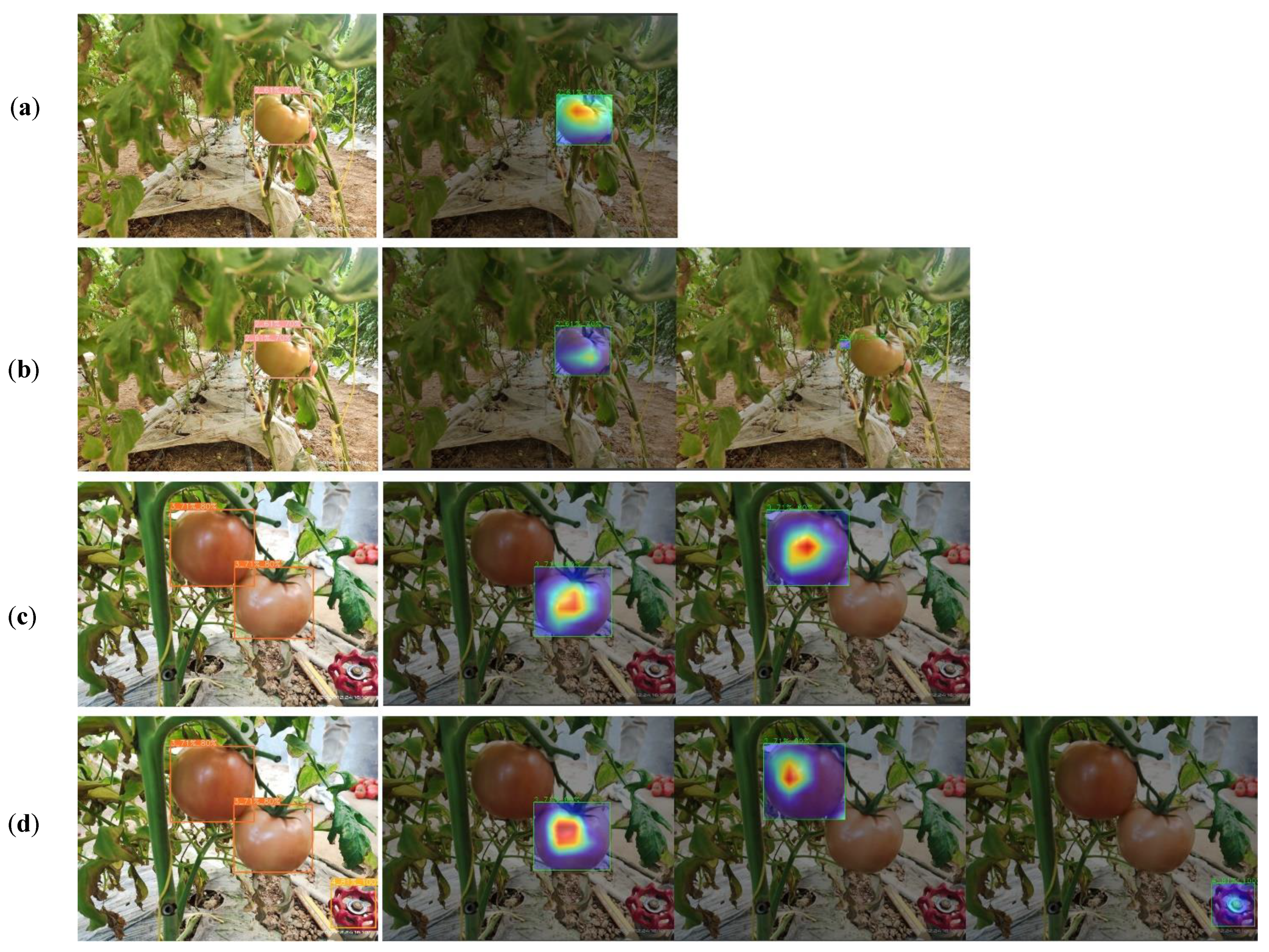 Agronomy 12 01638 g010 550