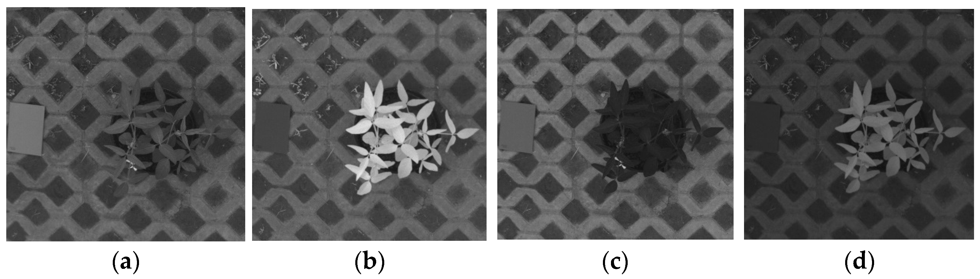 Agronomy 12 01650 g002 550