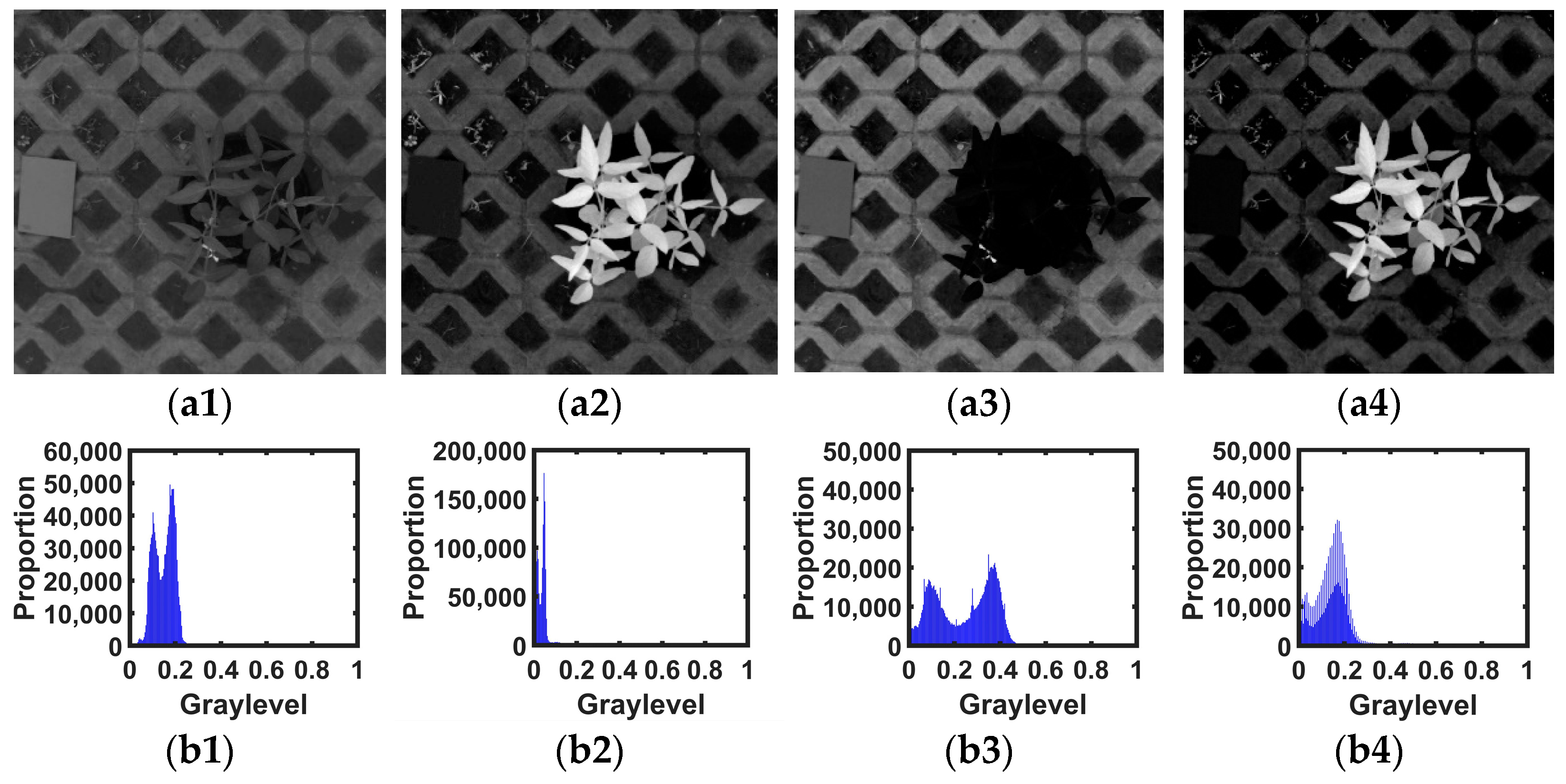 Agronomy 12 01650 g007 550
