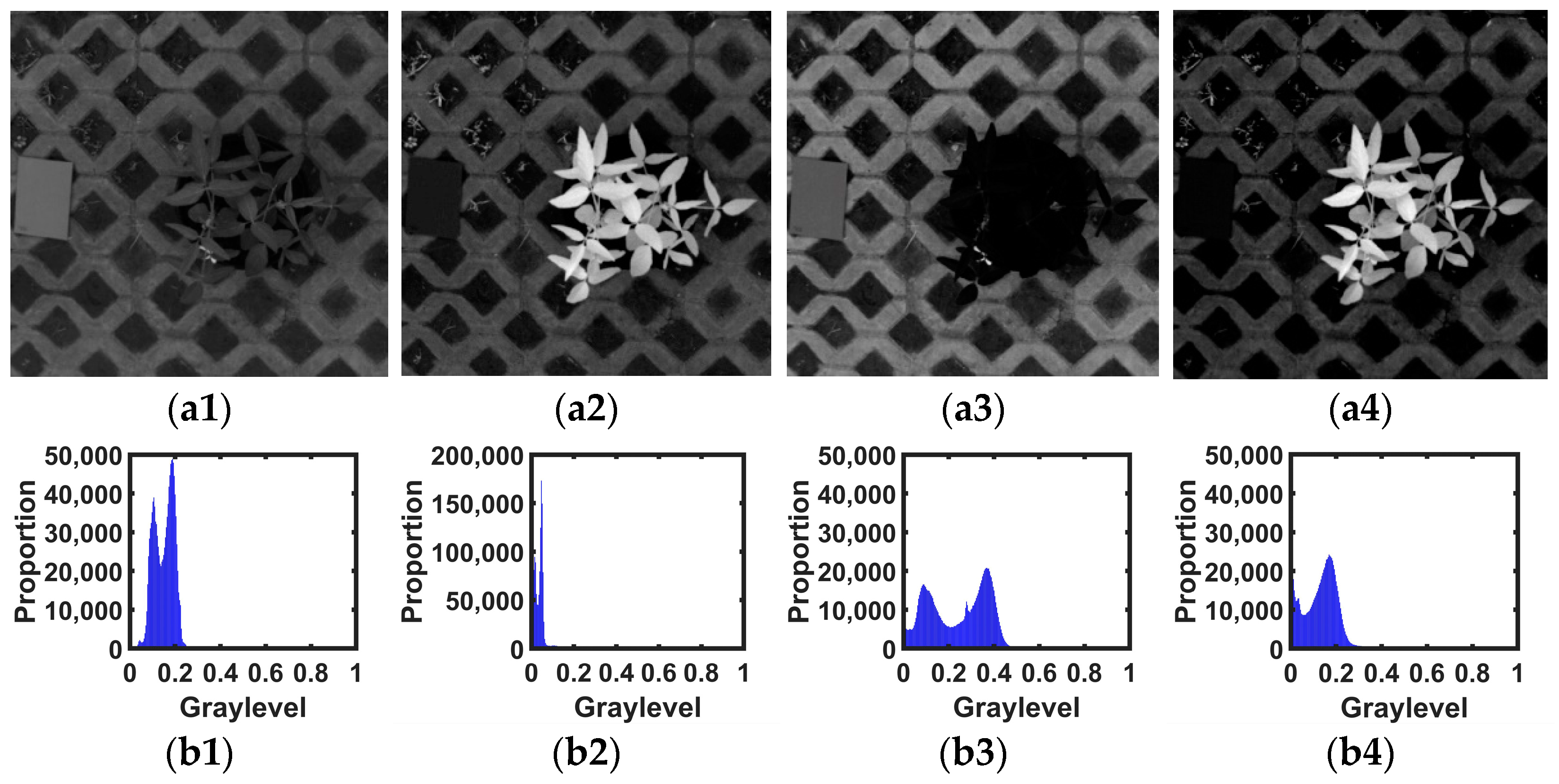 Agronomy 12 01650 g008 550