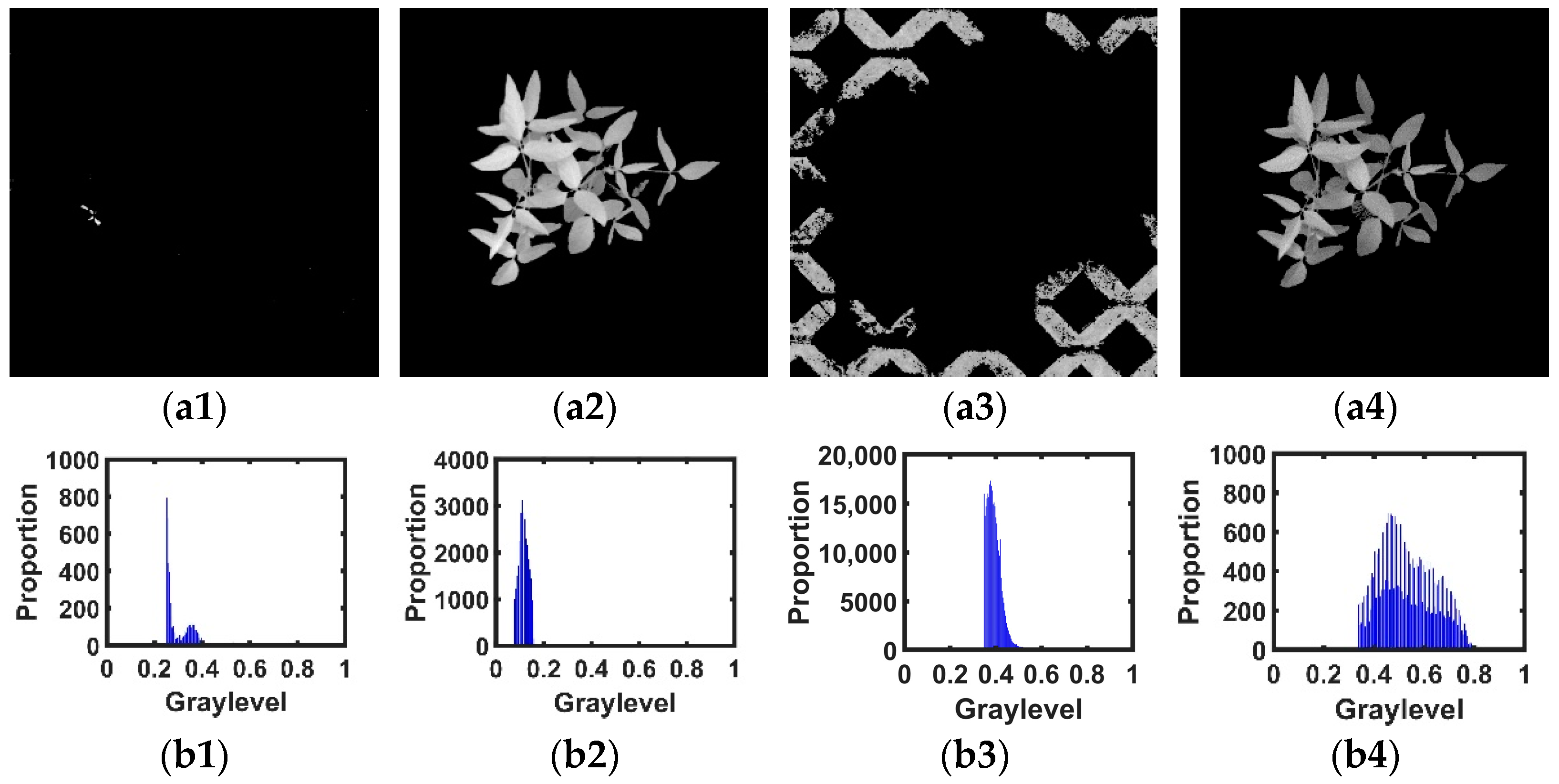 Agronomy 12 01650 g009 550