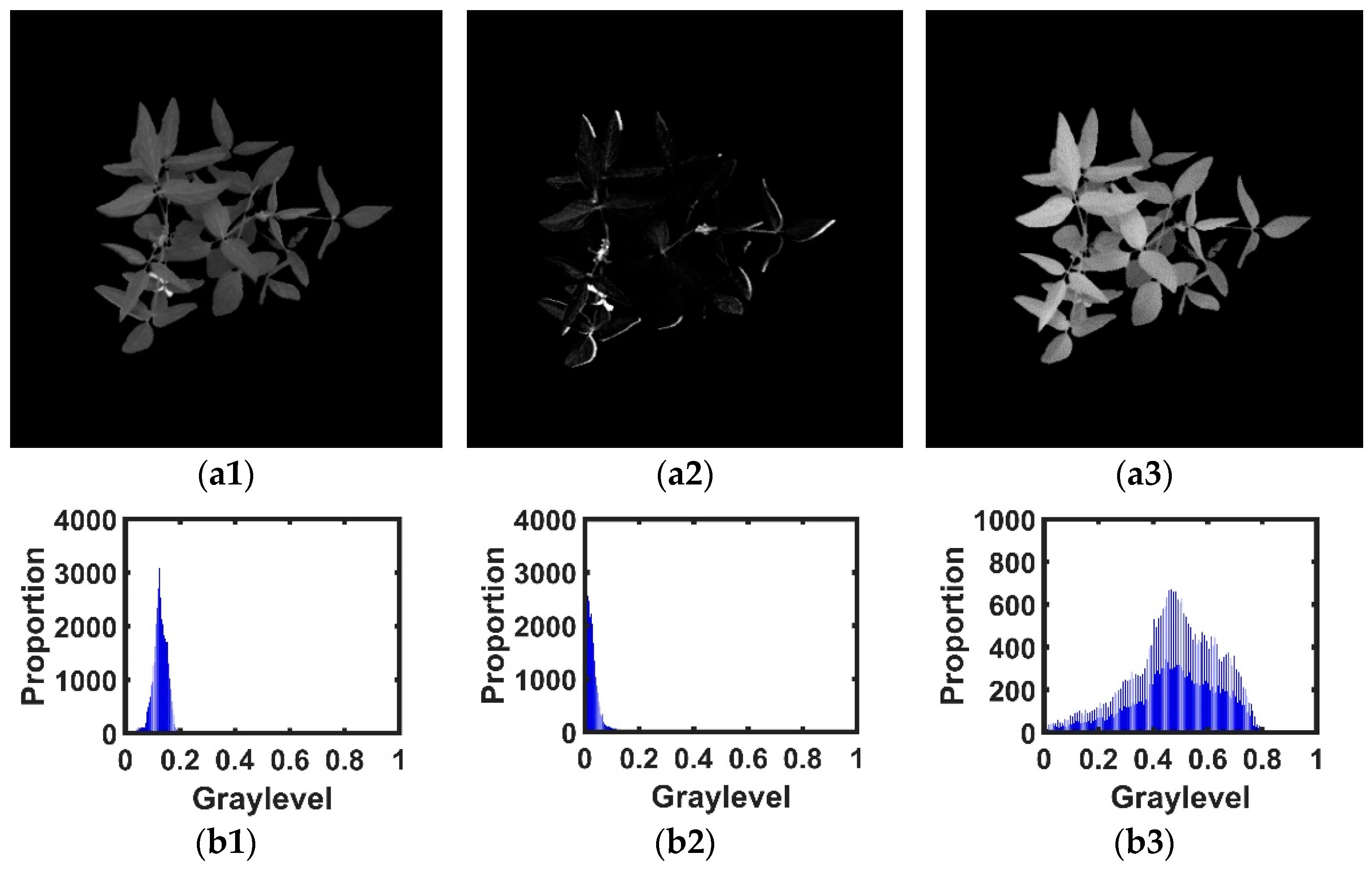 Agronomy 12 01650 g011 550