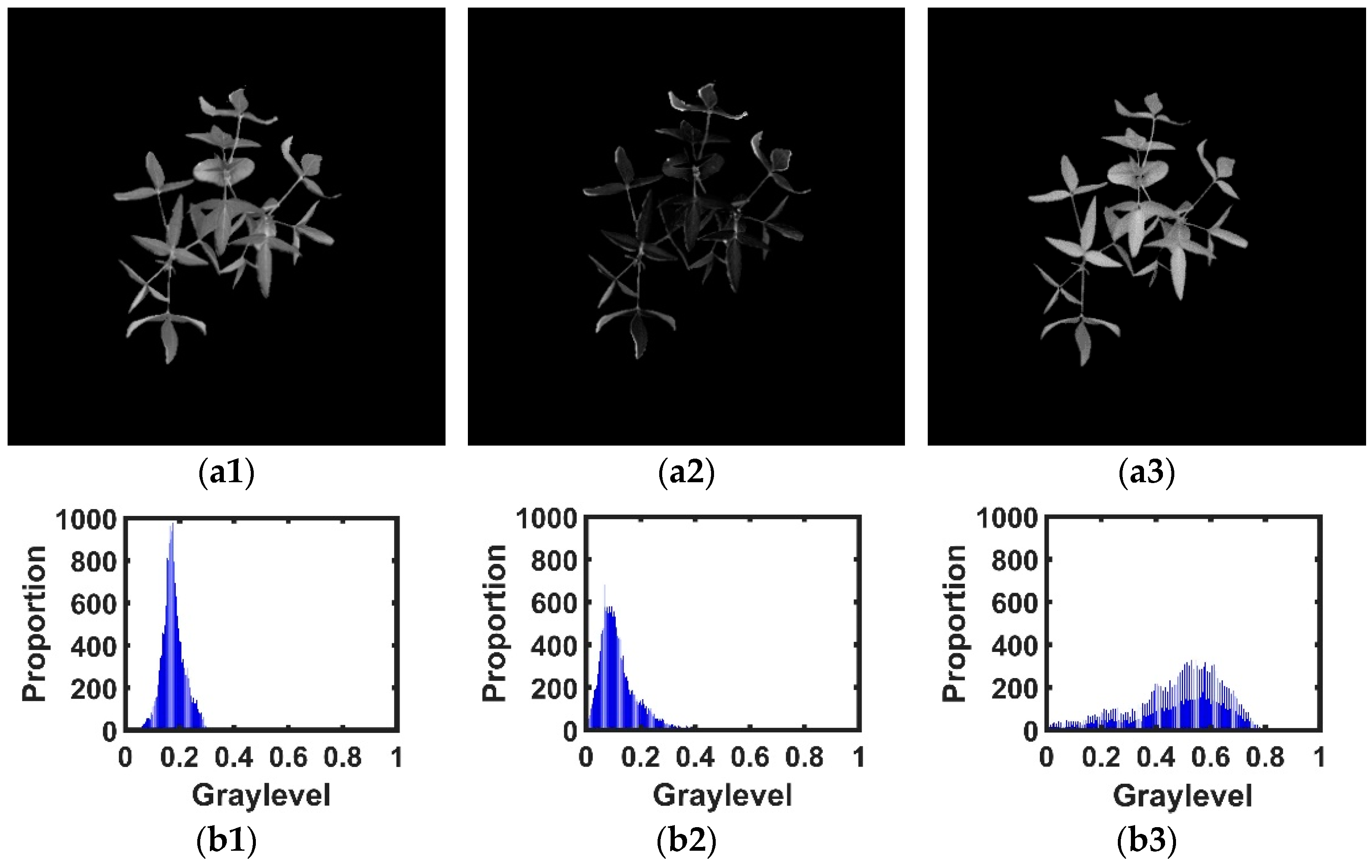 Agronomy 12 01650 g012 550
