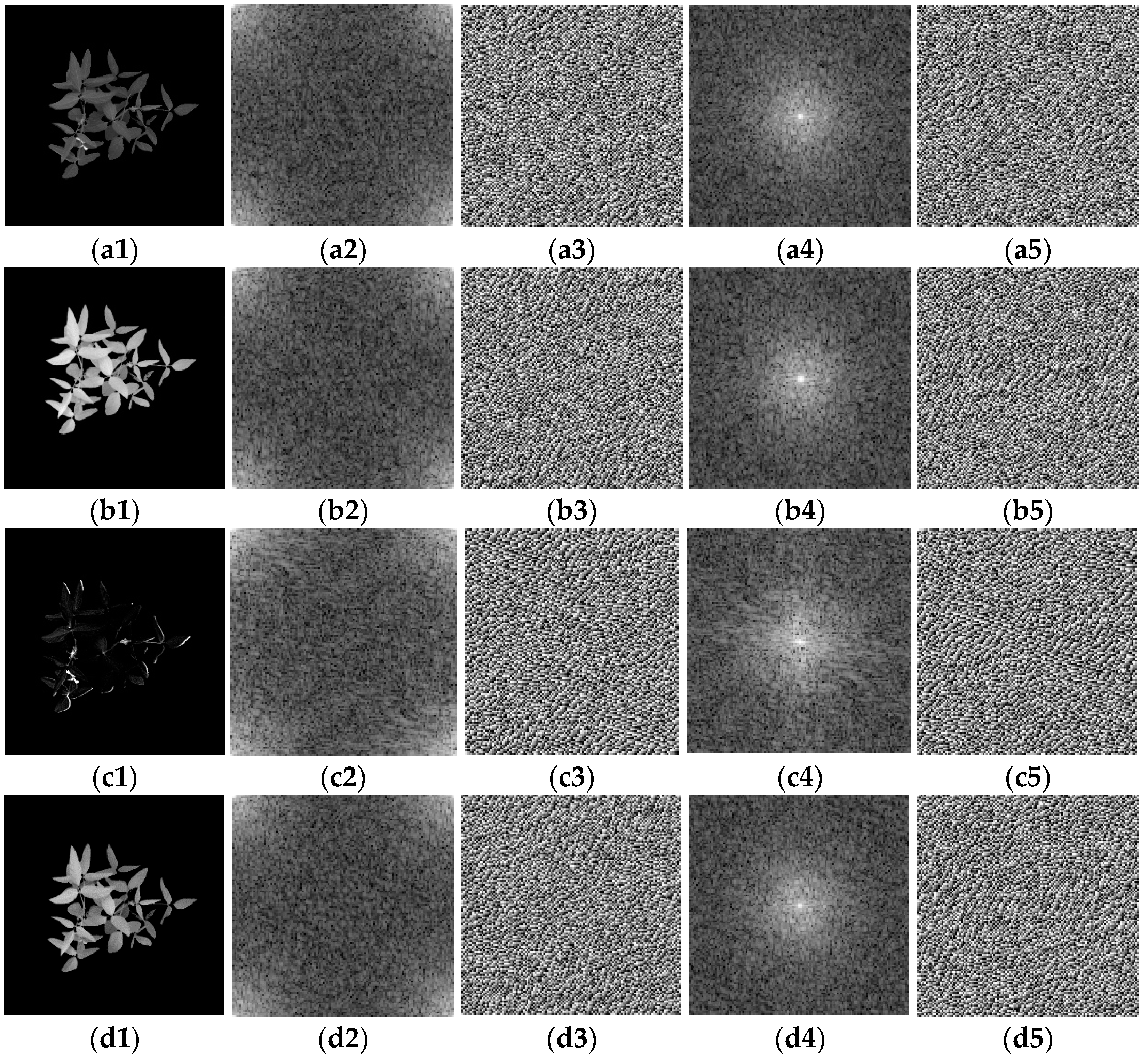 Agronomy 12 01650 g014 550