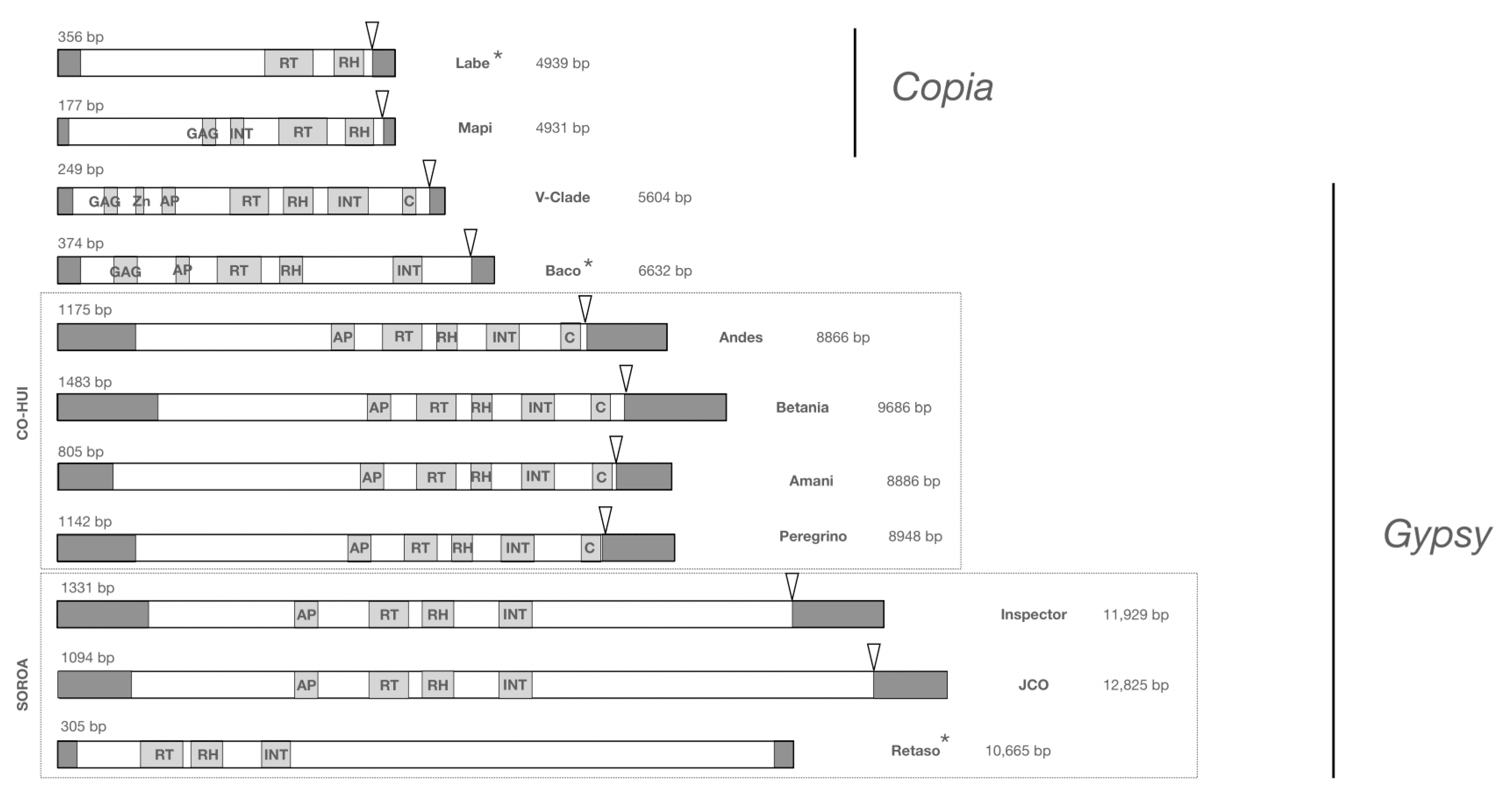 Agronomy 12 01665 g002 Agronomy 12 01665 g002
