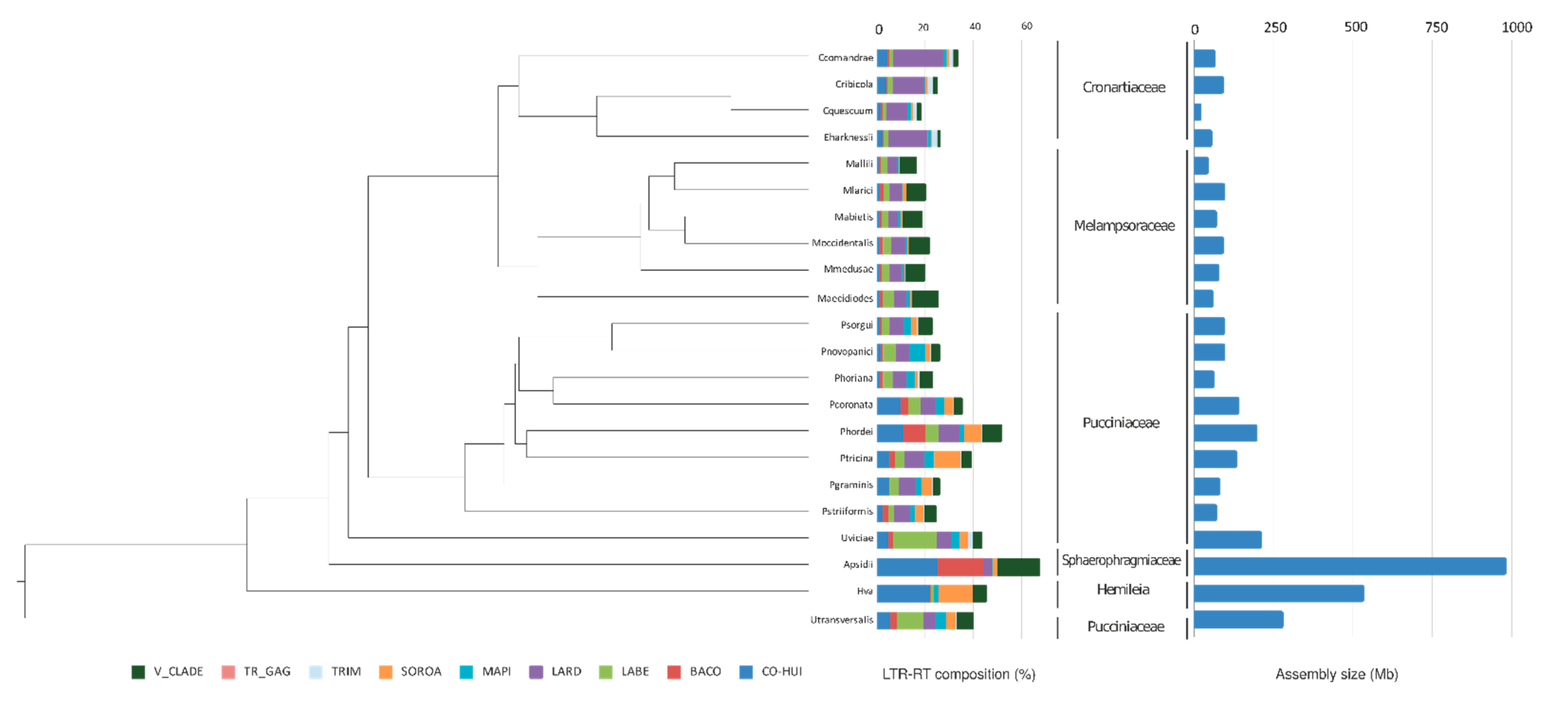 Agronomy 12 01665 g006 Agronomy 12 01665 g006