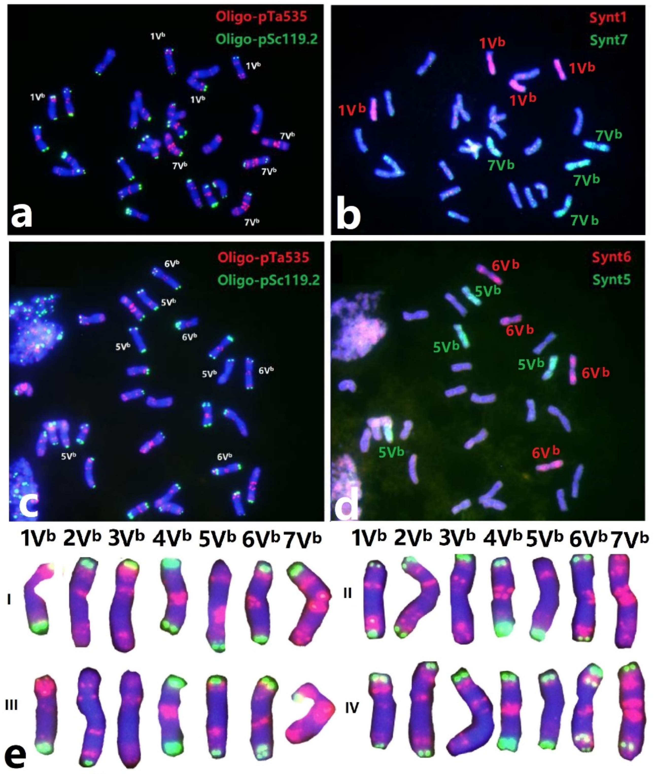 Agronomy 12 01673 g001 550