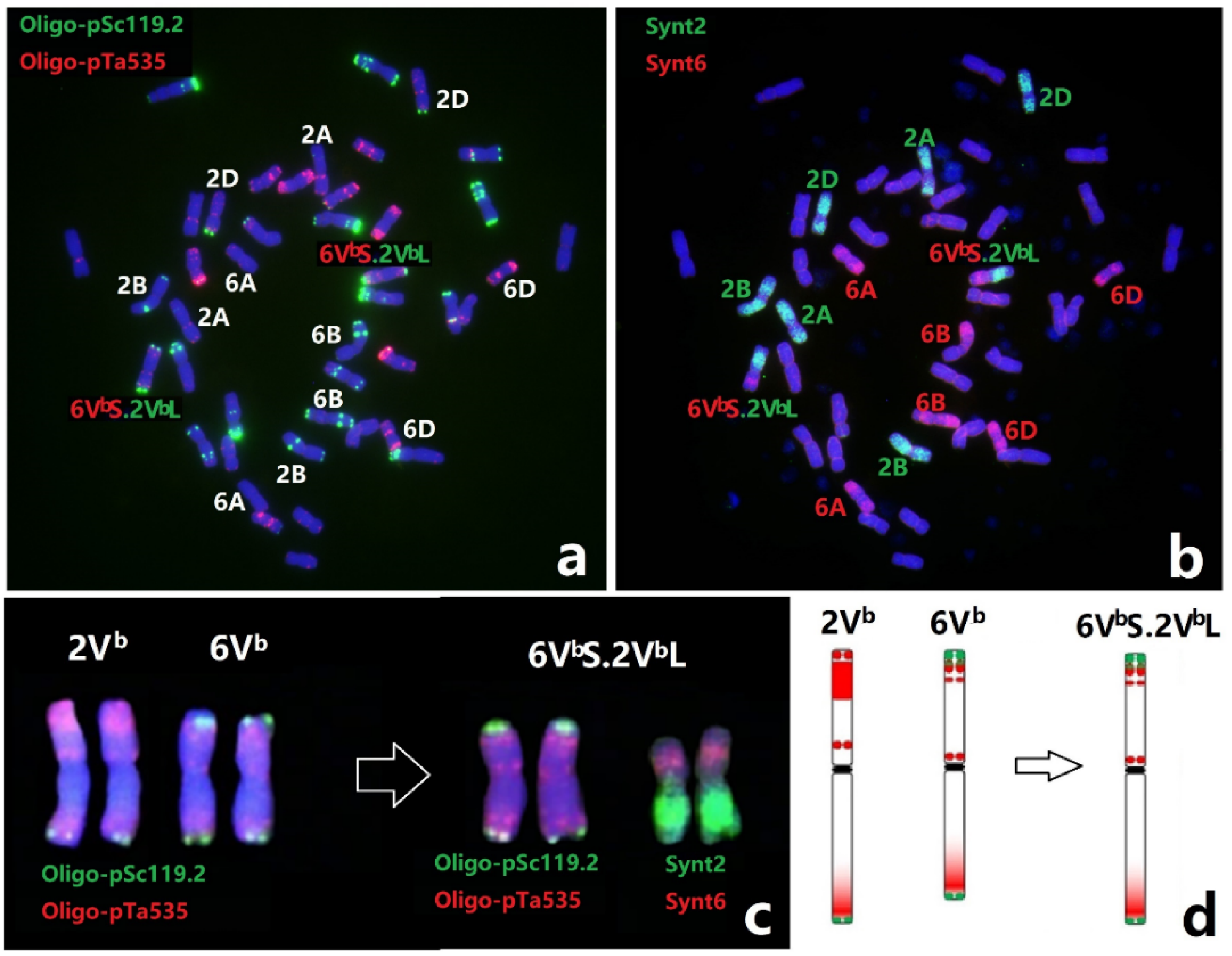 Agronomy 12 01673 g002 550