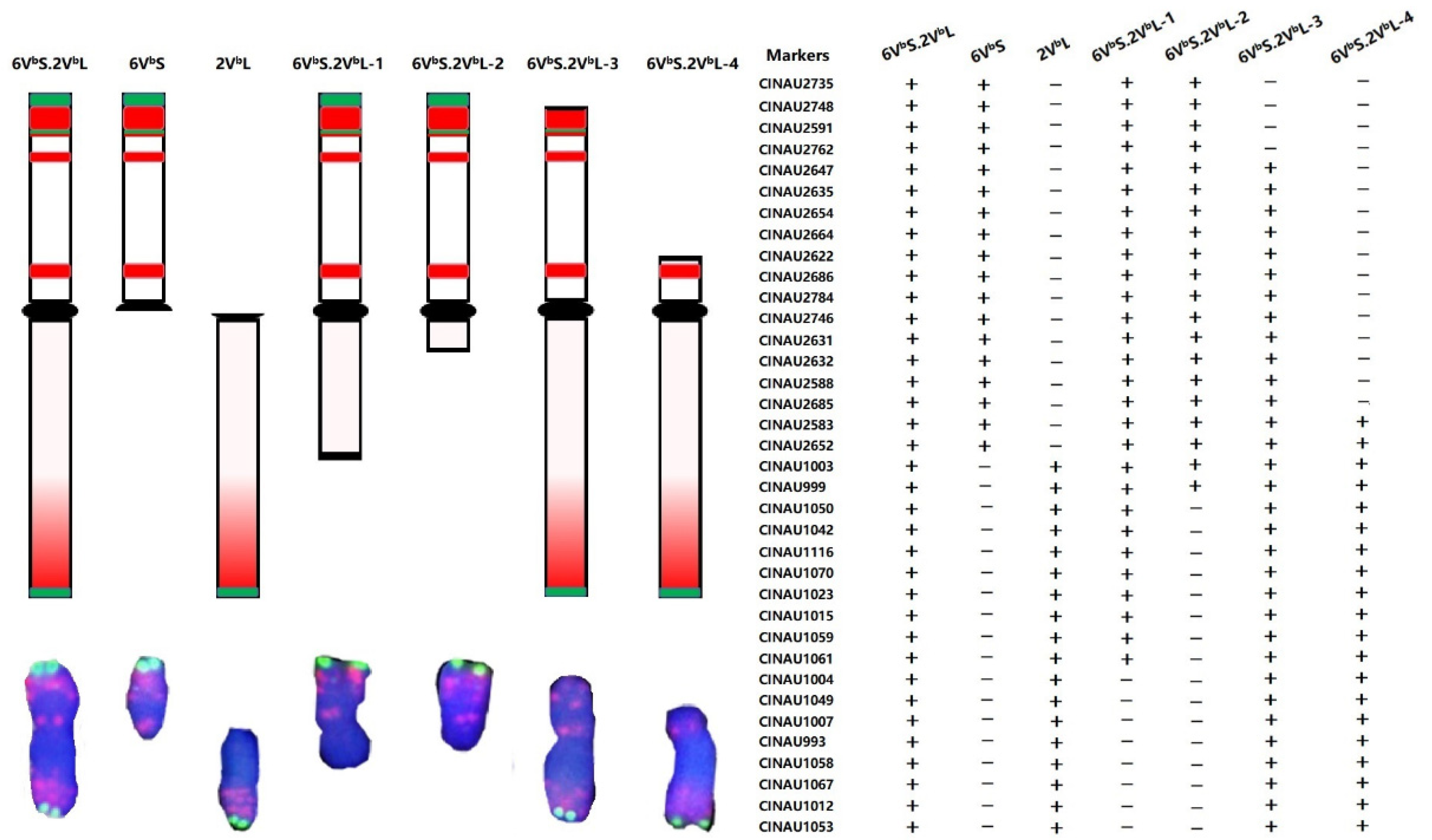 Agronomy 12 01673 g004 550