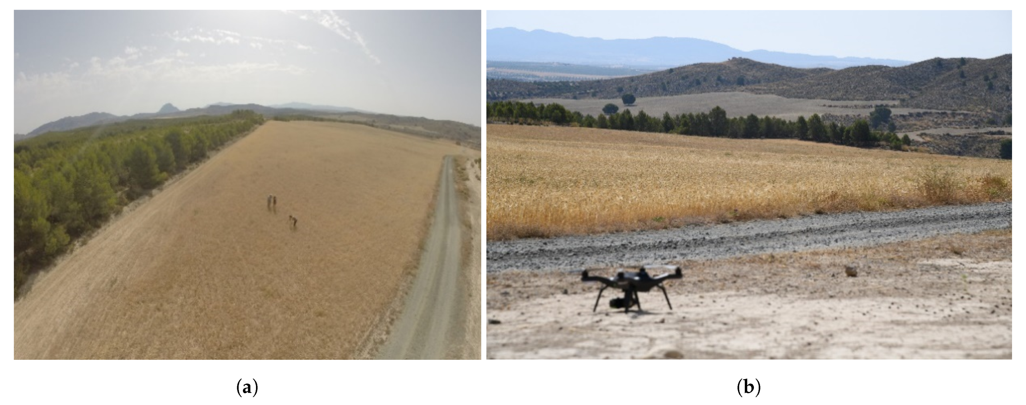 Agronomy 12 01674 g003 550