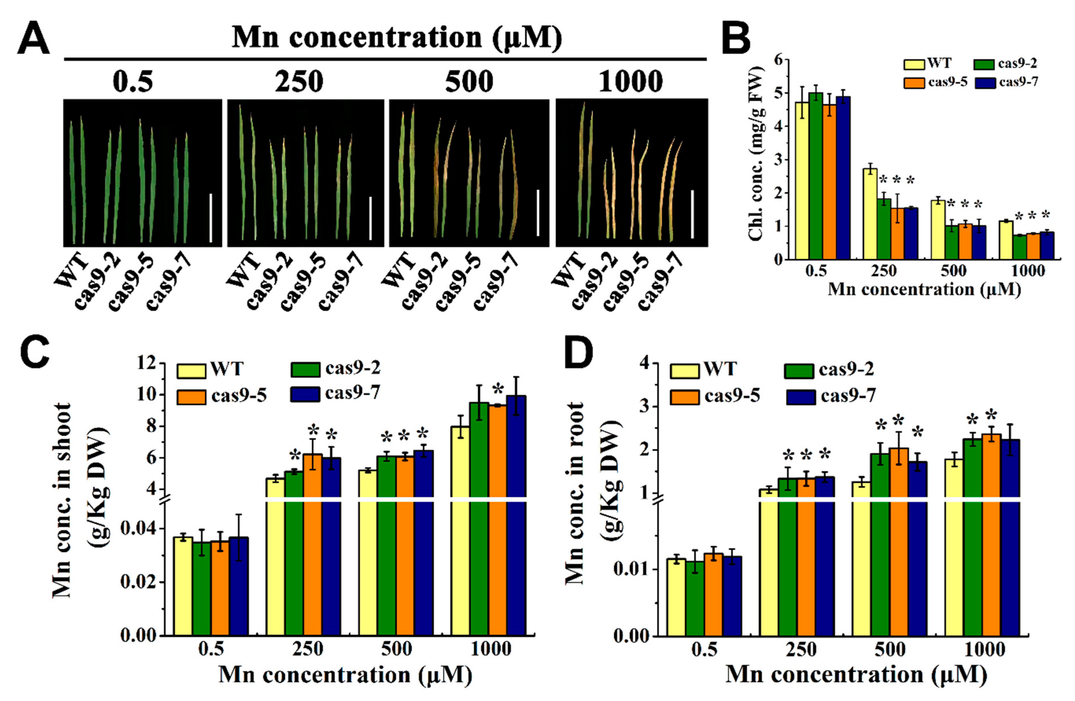 Agronomy 12 01676 g004 Agronomy 12 01676 g004