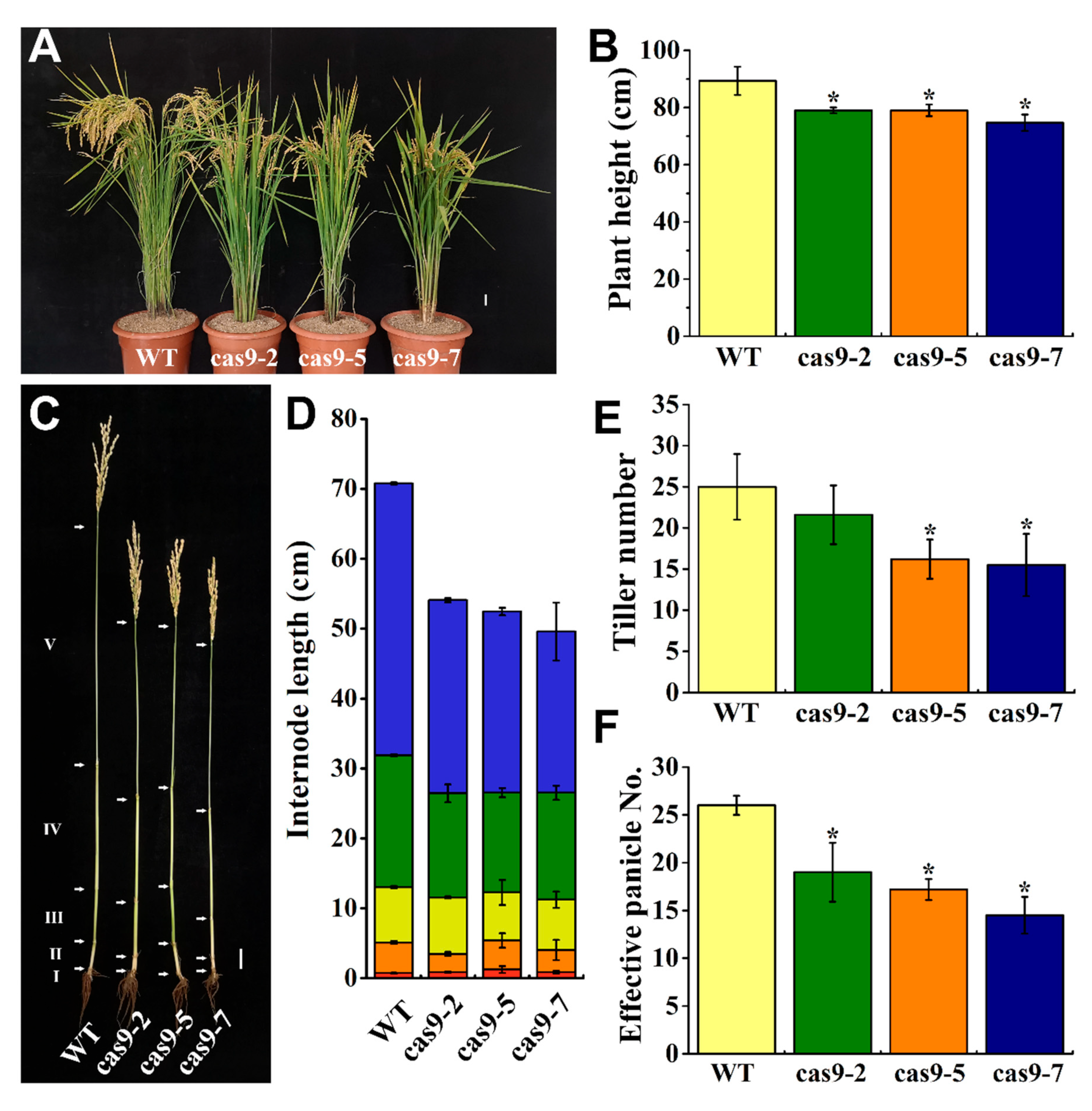 Agronomy 12 01676 g005 Agronomy 12 01676 g005