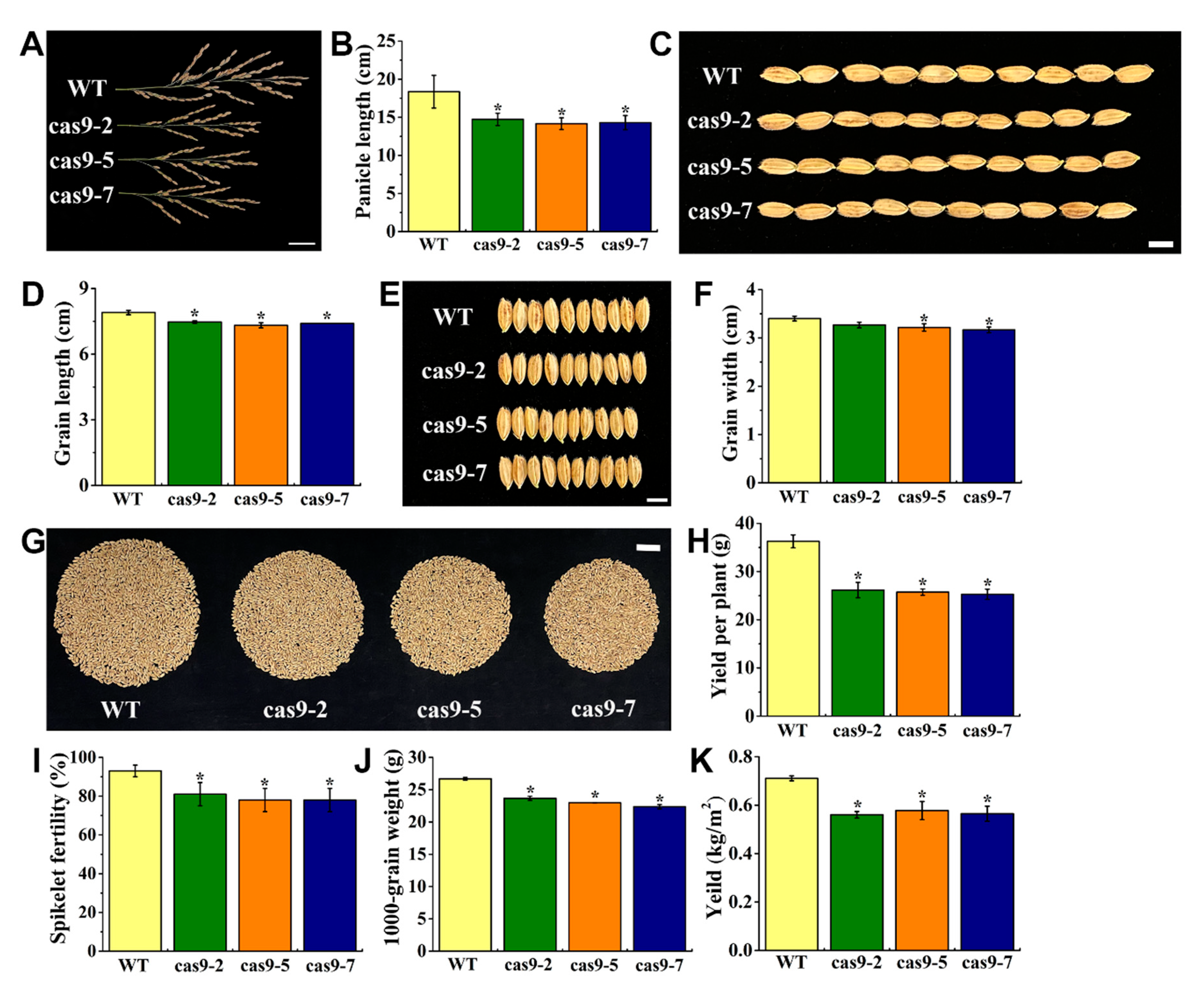 Agronomy 12 01676 g006 Agronomy 12 01676 g006