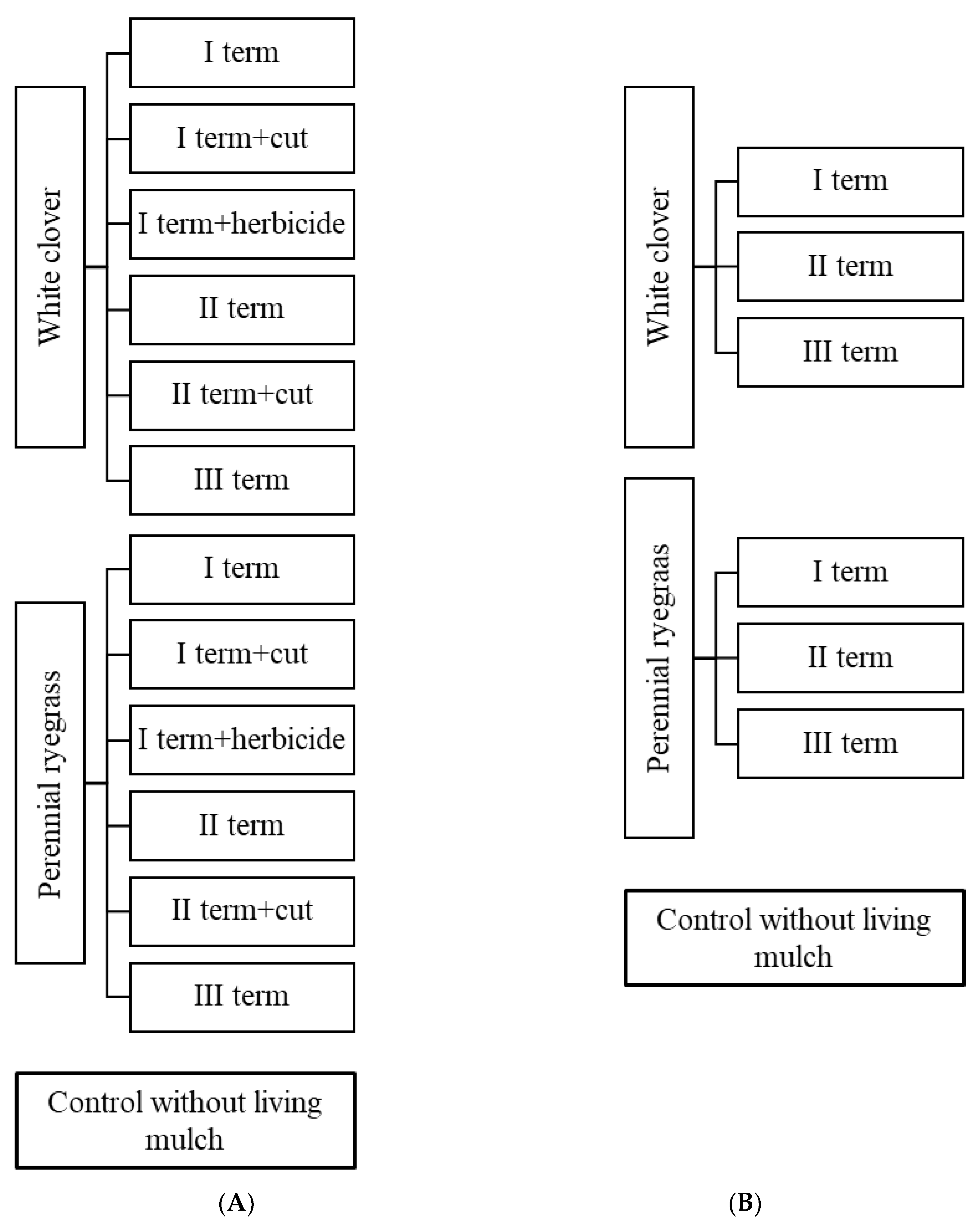 Agronomy 12 01686 g001
