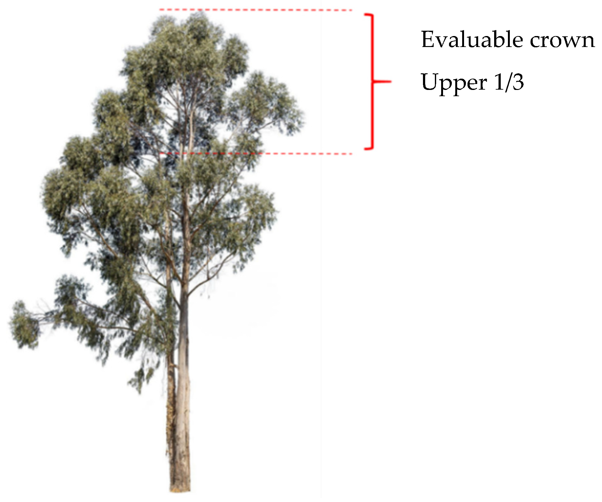 Agronomy 12 01692 g003 550