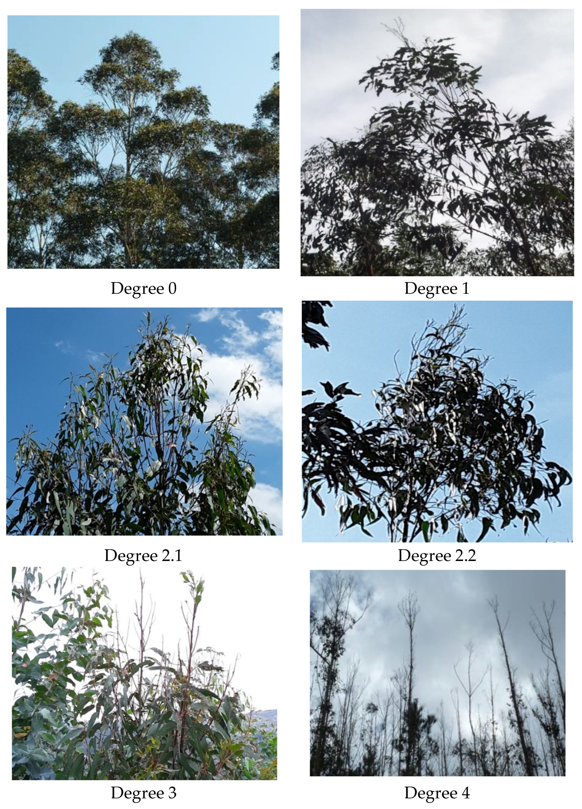 Agronomy 12 01692 g004 550