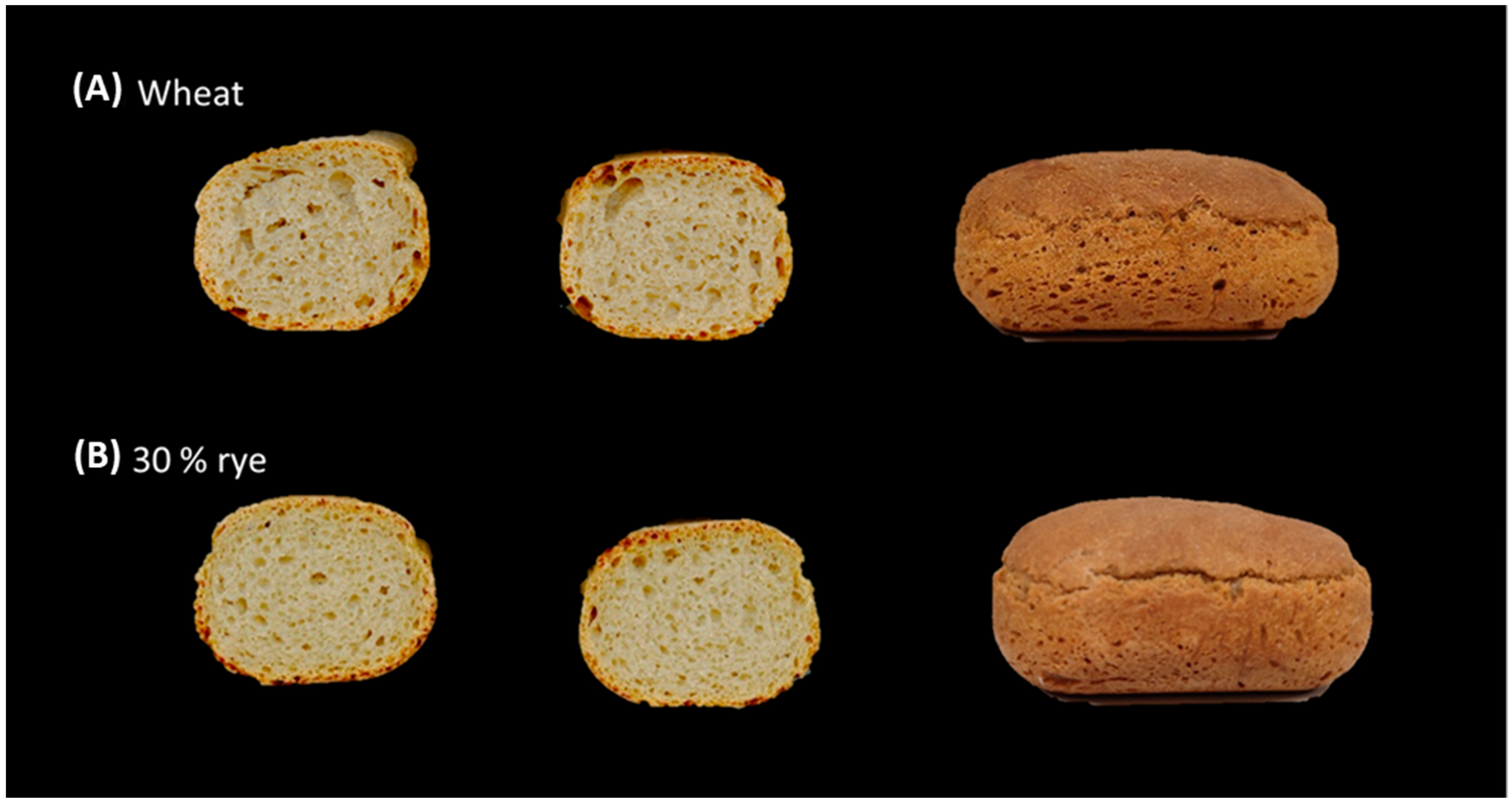 Agronomy 12 01695 g006