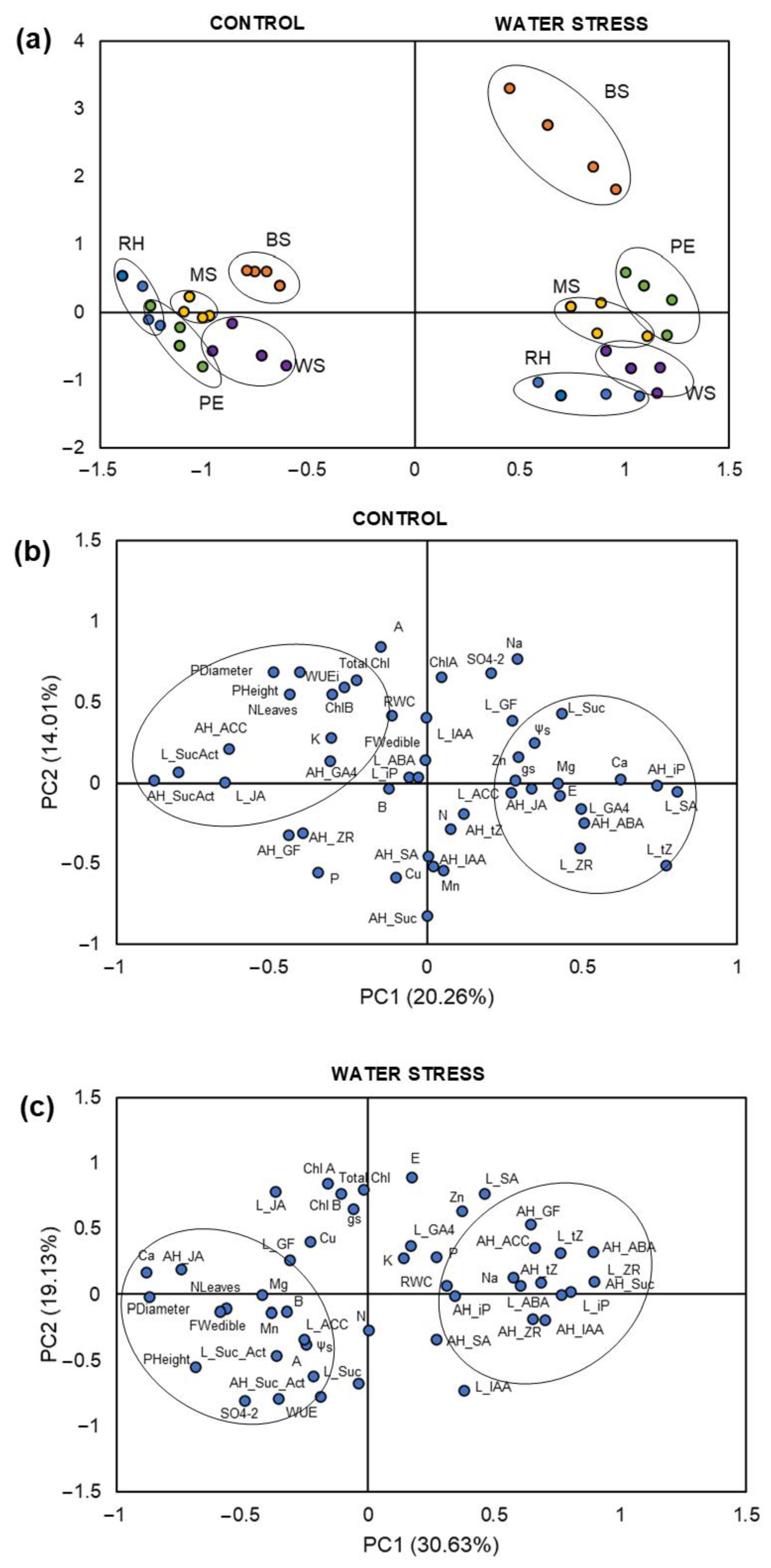 Agronomy 12 01713 g006 Agronomy 12 01713 g006