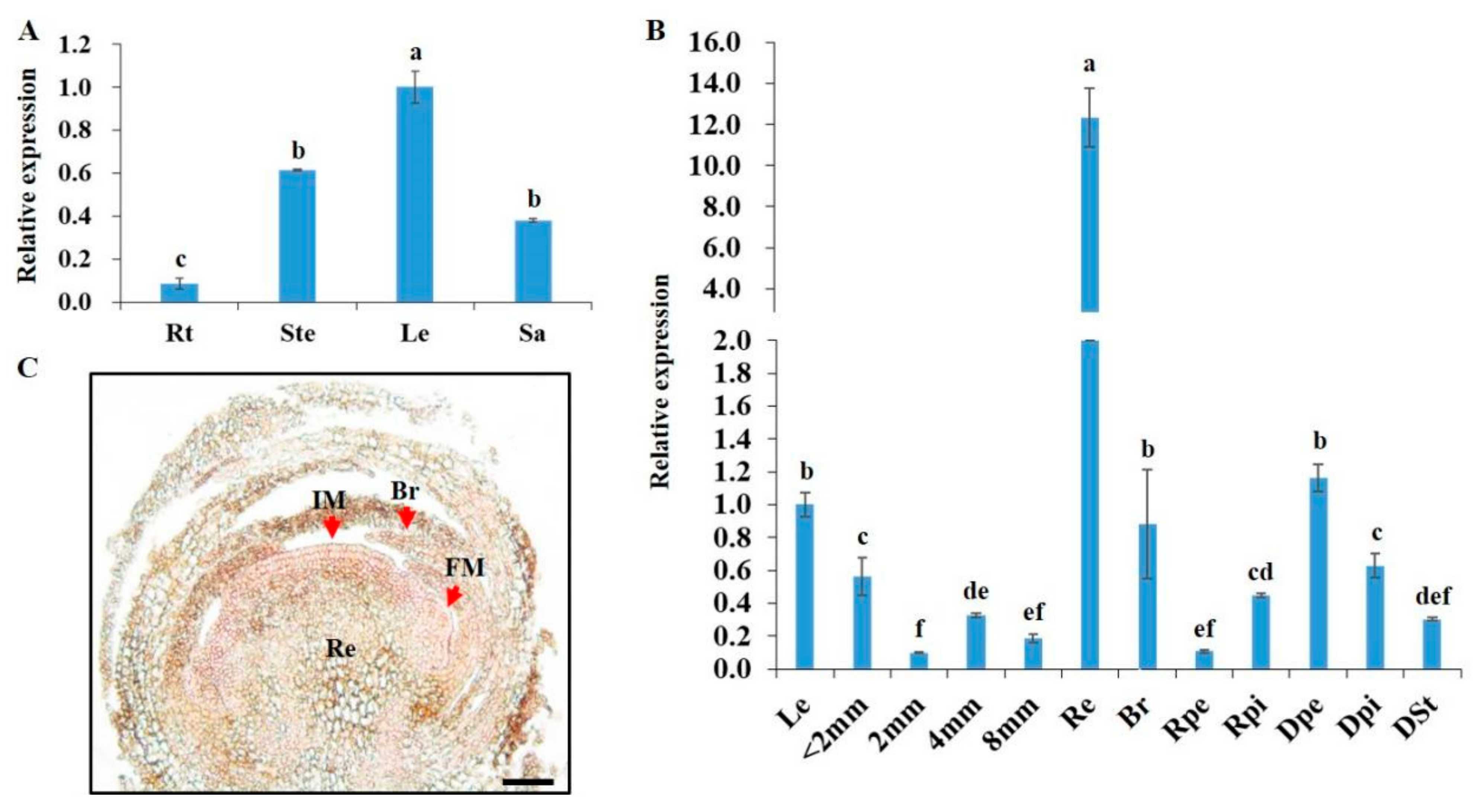 Agronomy 12 01716 g002