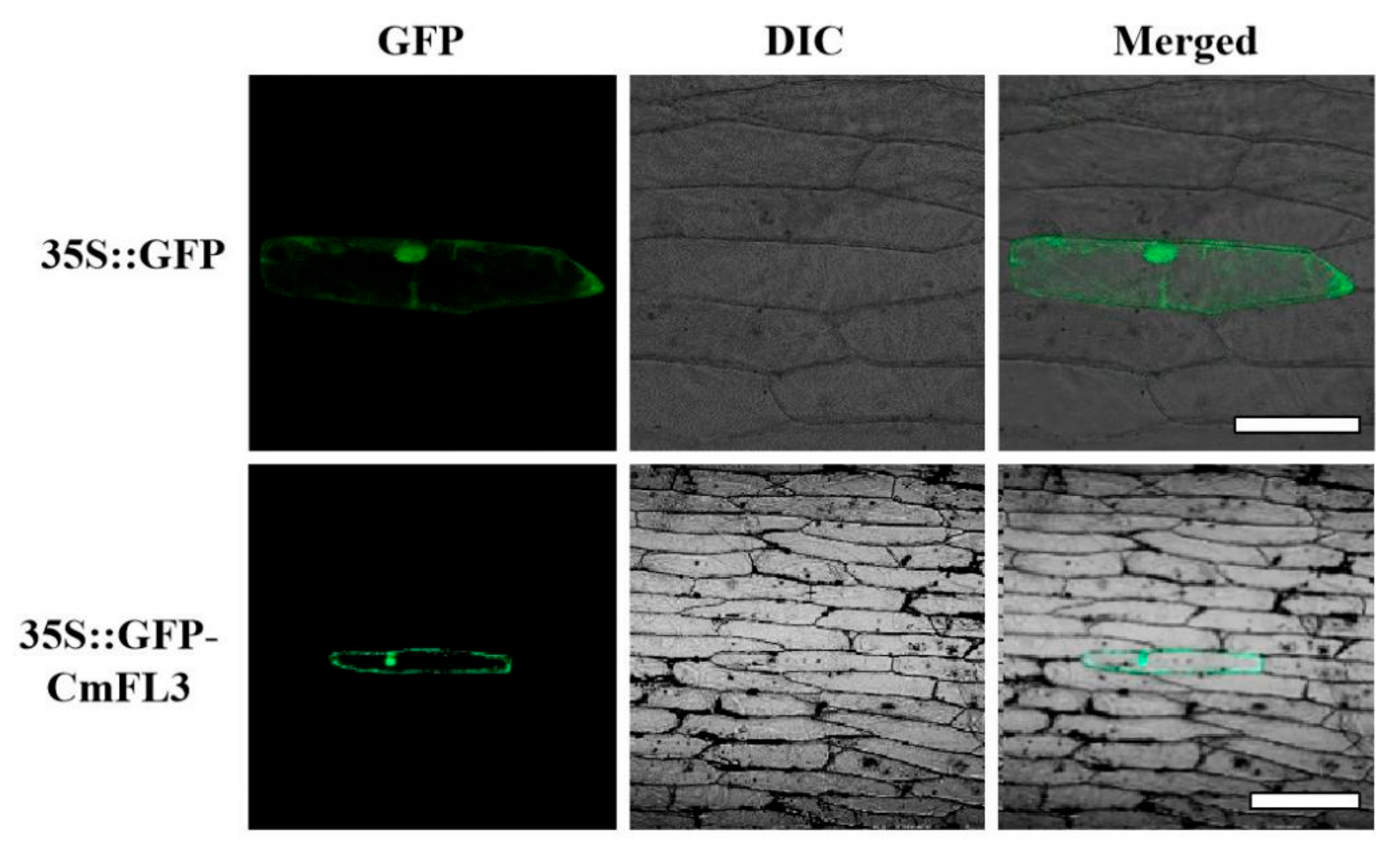 Agronomy 12 01716 g003