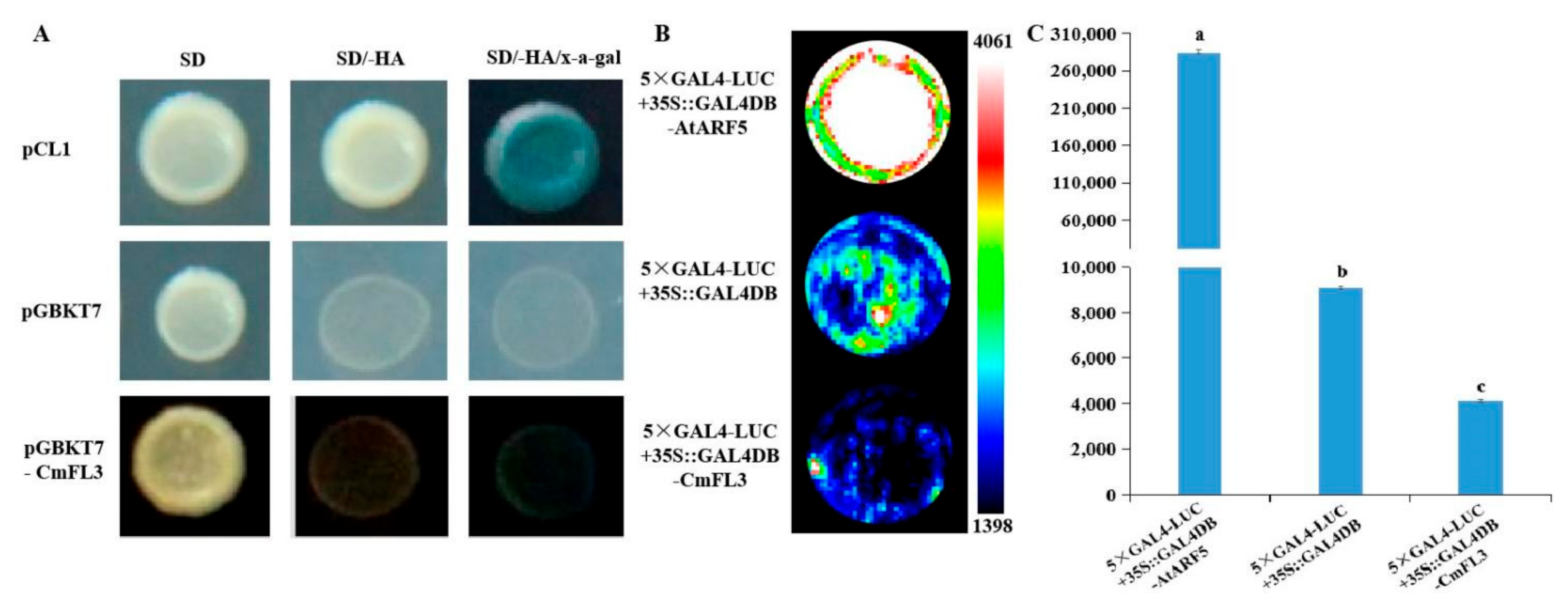 Agronomy 12 01716 g004