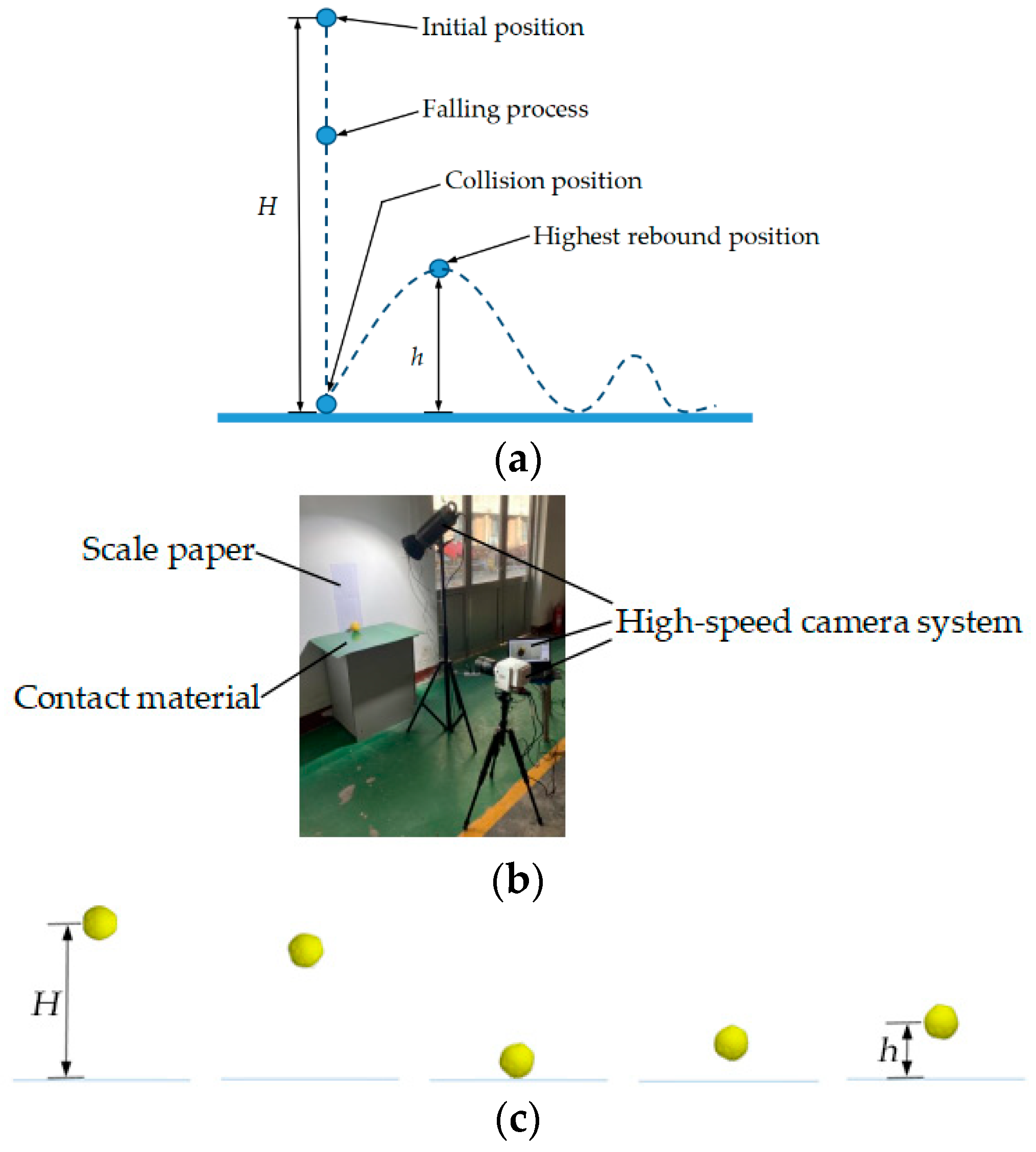Agronomy 12 01720 g004
