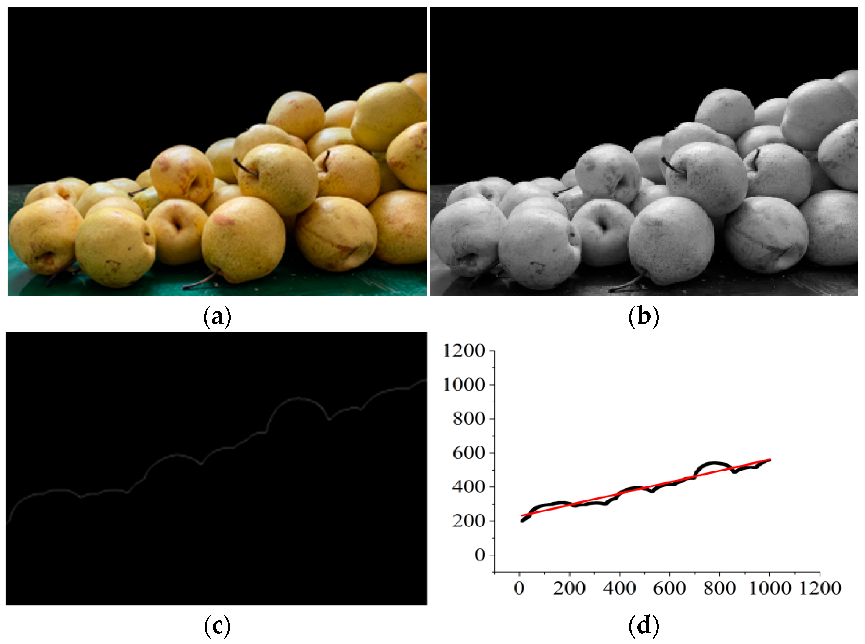 Agronomy 12 01720 g013