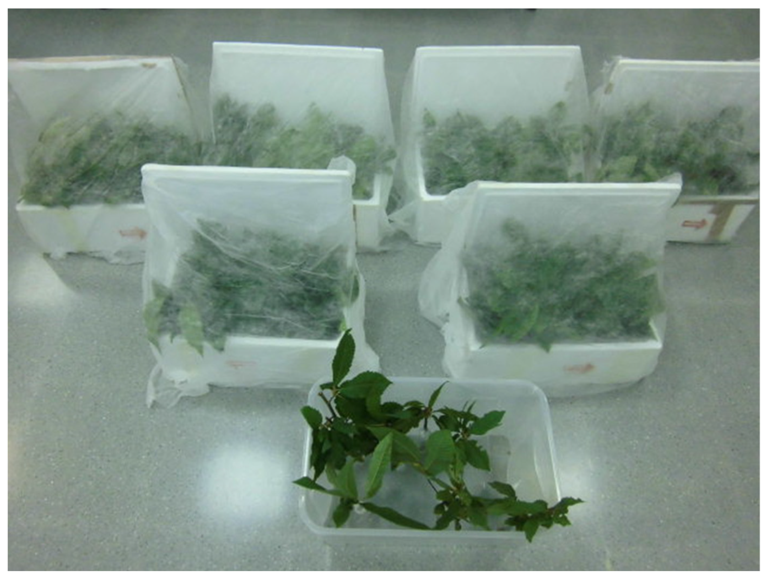 Agronomy 12 01728 g001 Agronomy 12 01728 g001